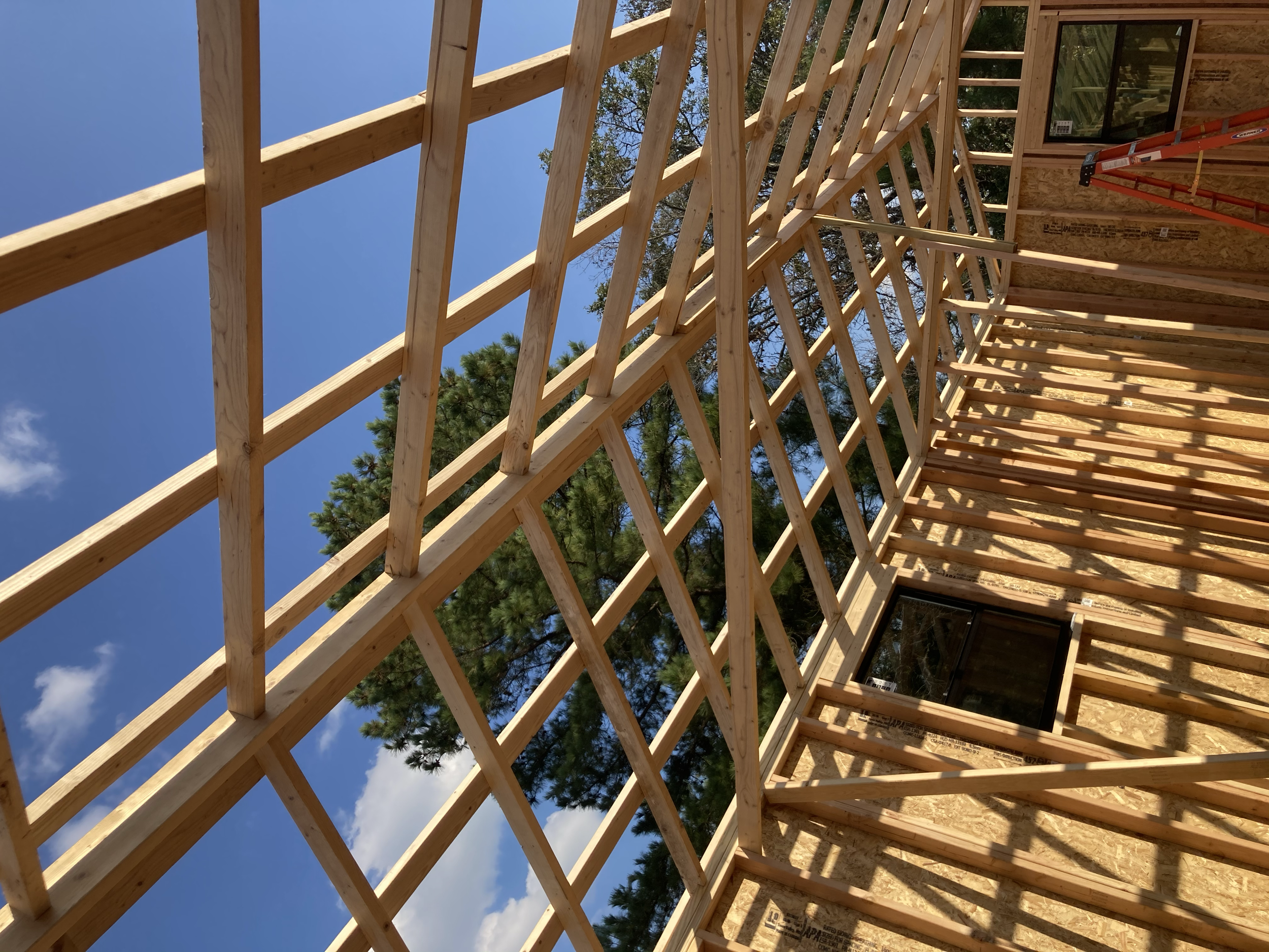 Tiny Home Framing