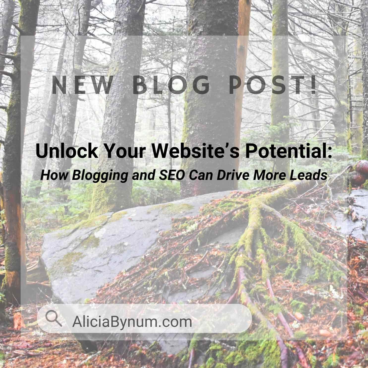 Unlock Your Website’s Potential: How Blogging and SEO Can Drive More Leads