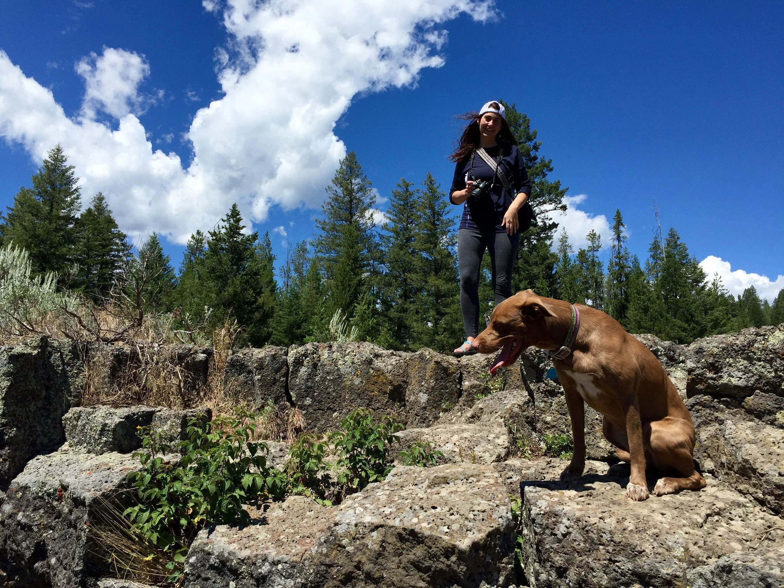Public Lands for Public Health