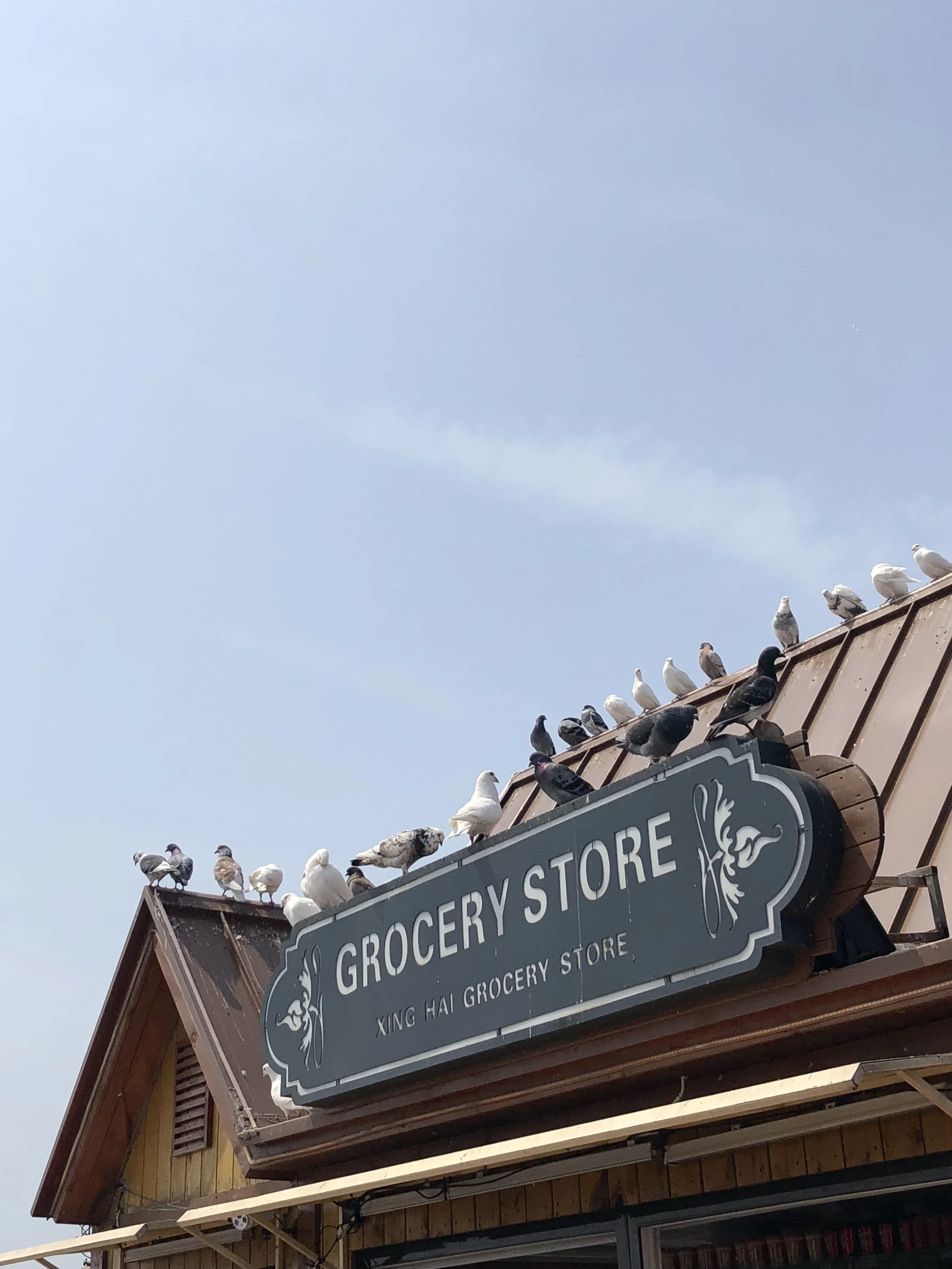 2018. Dalian Centenary Sculpture, Liaoning, China