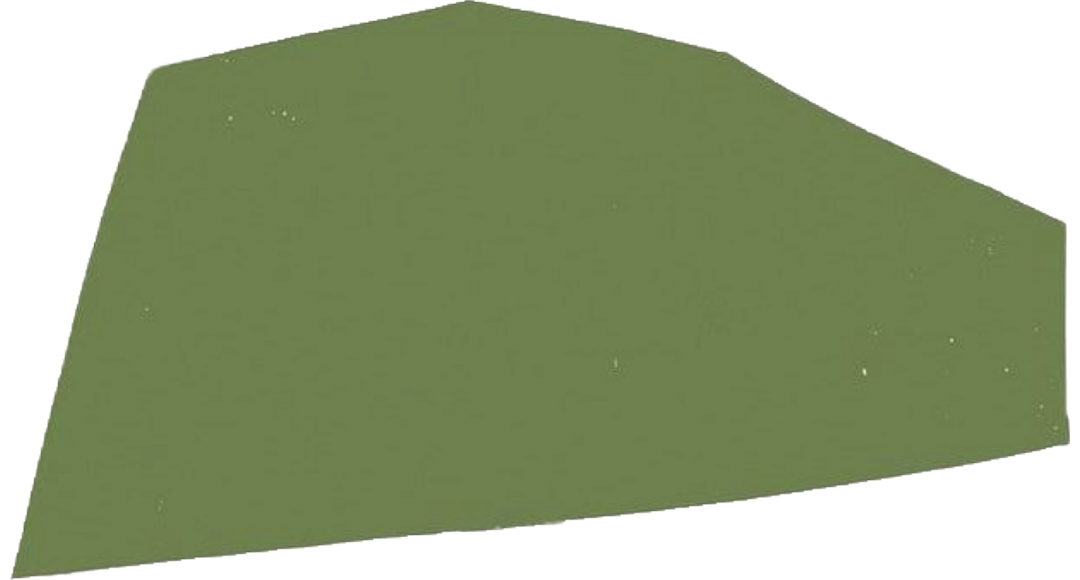 Experiential Retailing