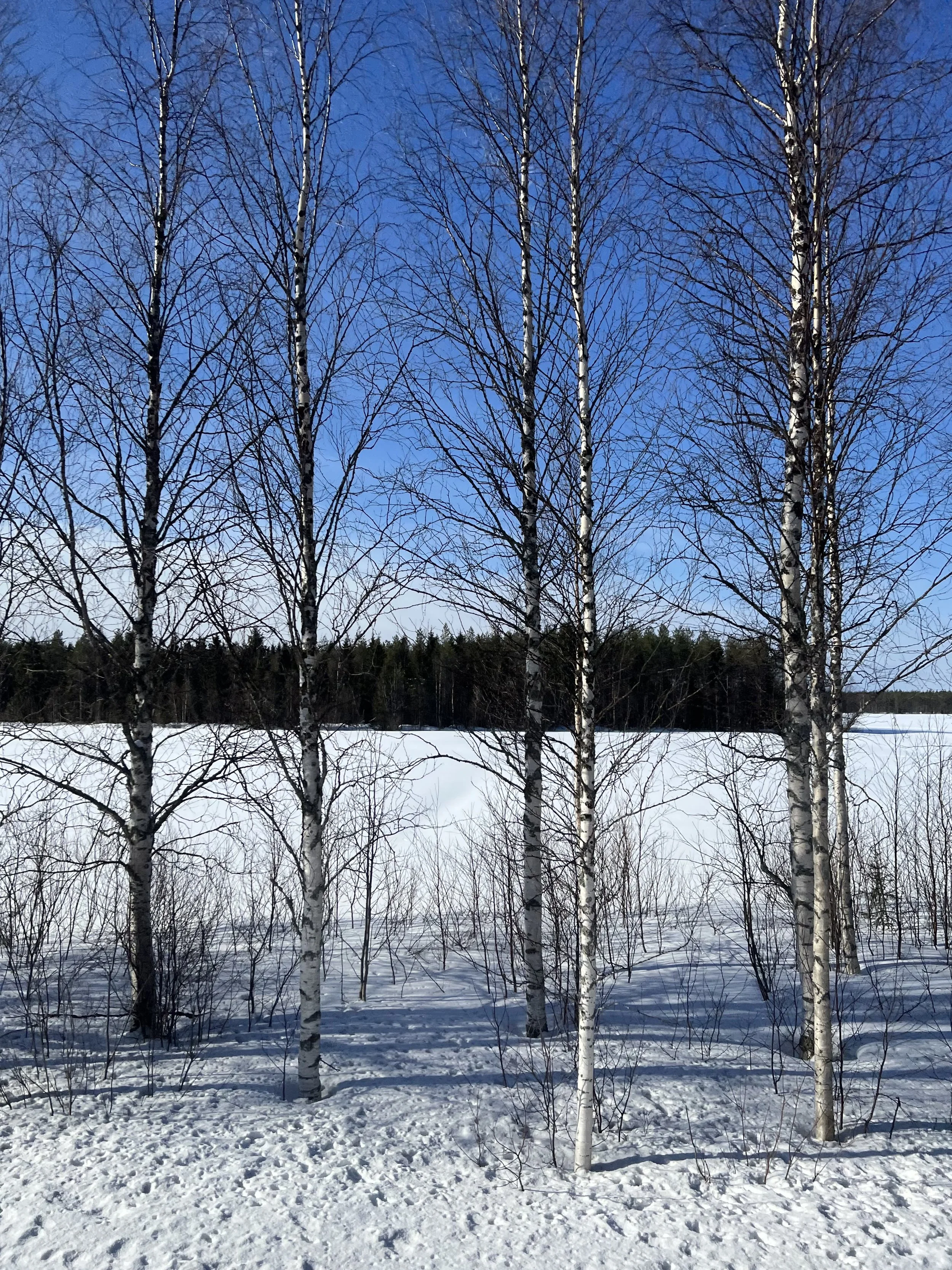 2022. Yli-Simo, Finland