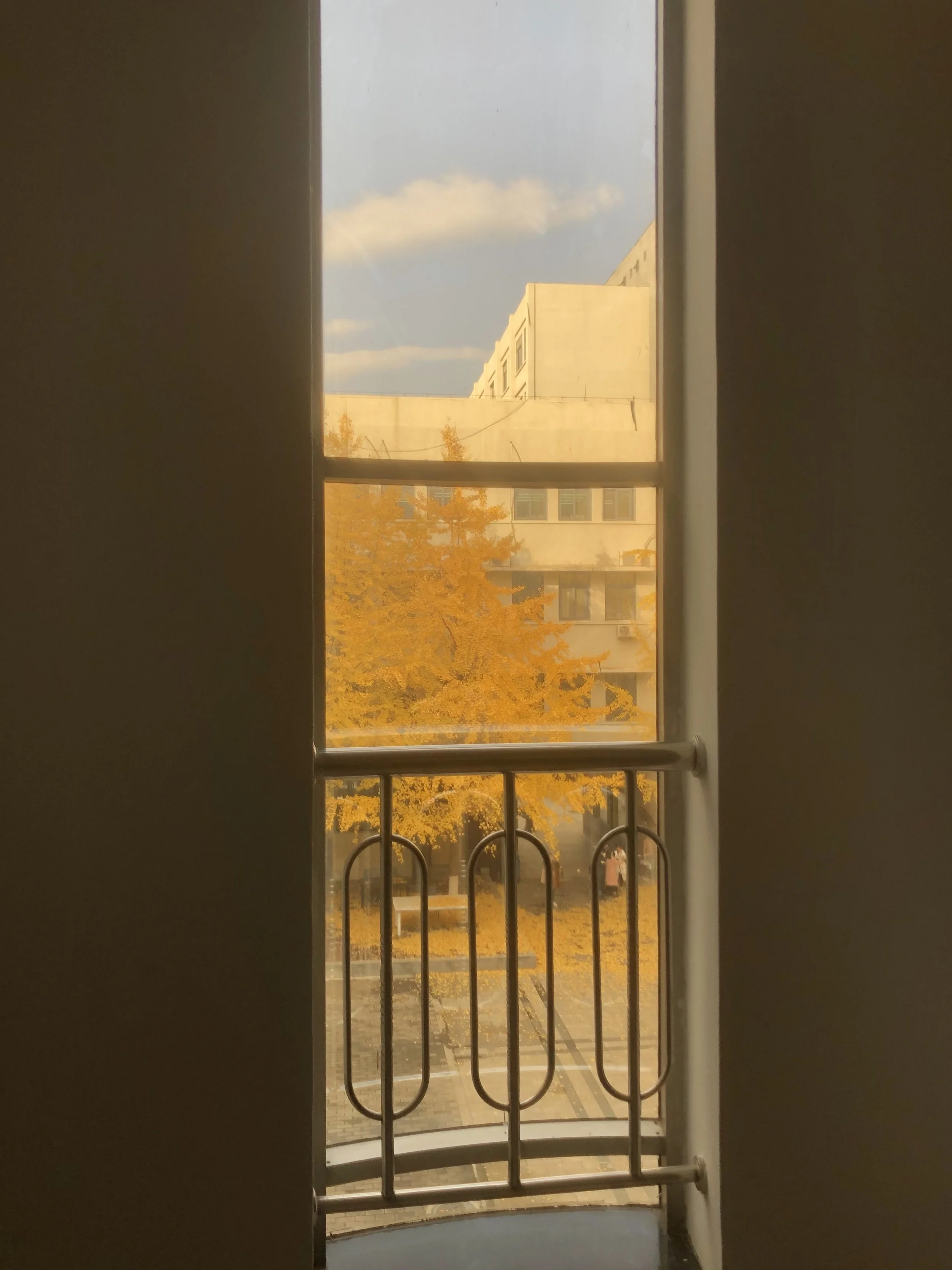 2019. Beijing, China