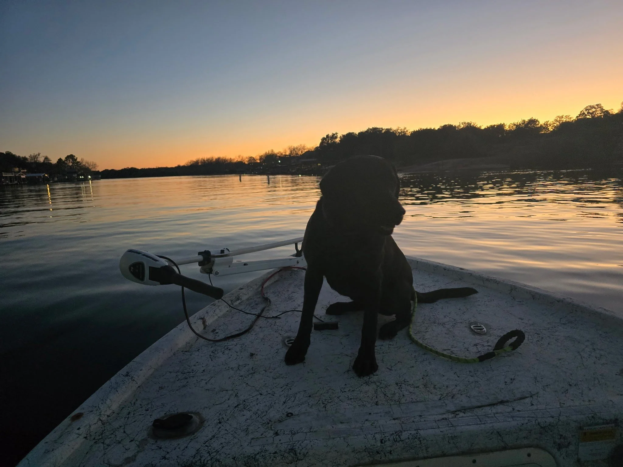 Bea is the only dog that goes fishing