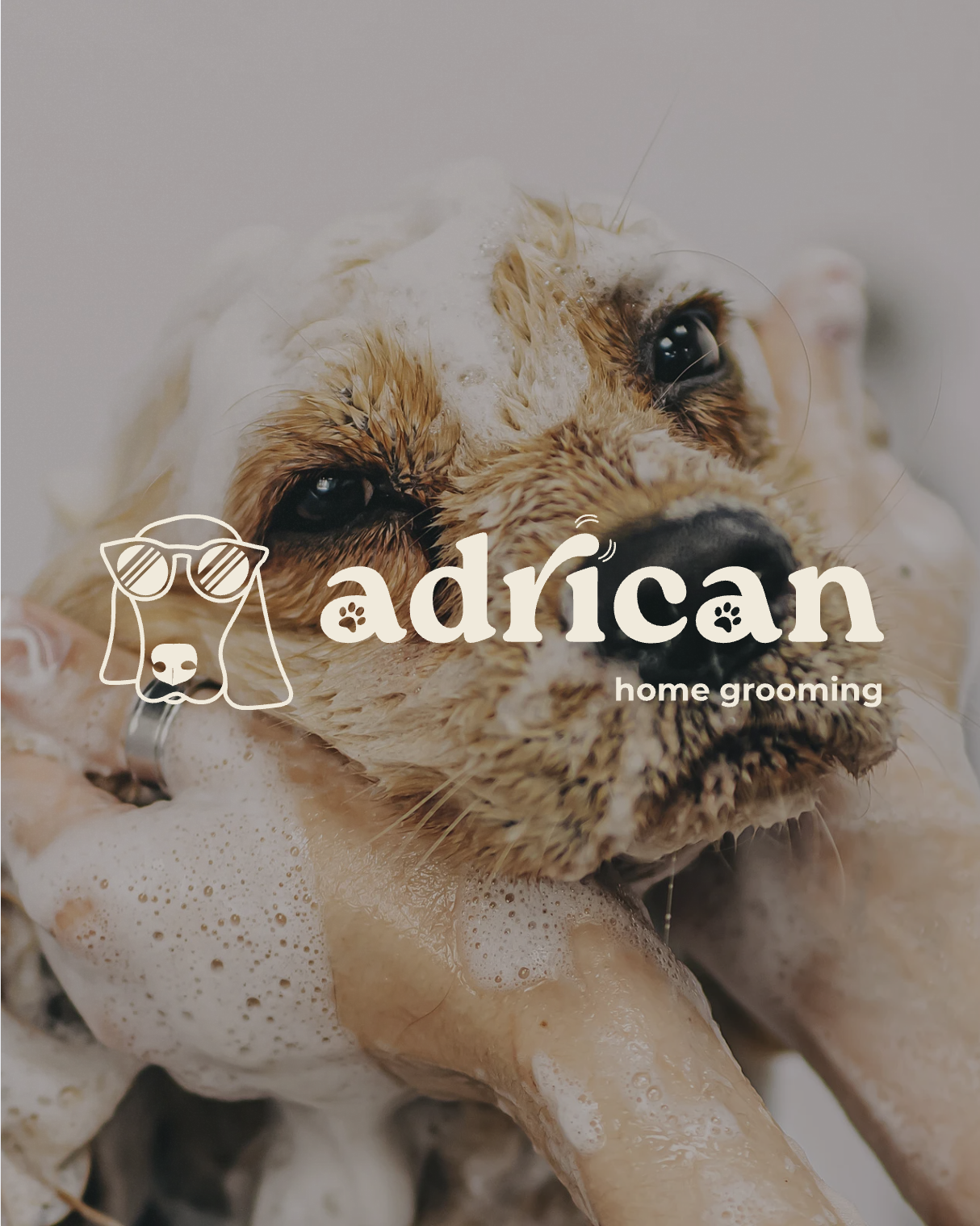 Branding para Adrican Home Grooming por Mofo Design Studio / Mofo Studio