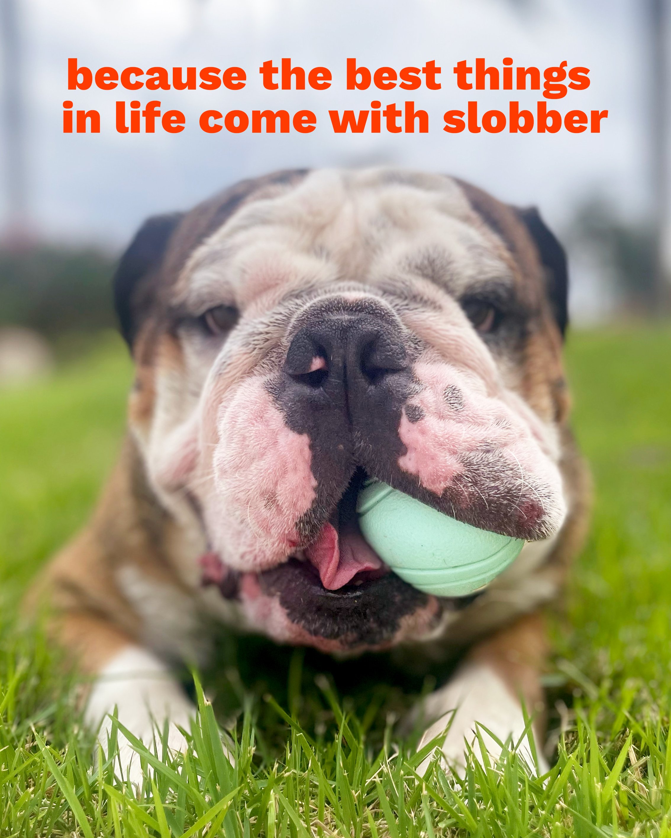 ProductContent_BURLY_BallHolder_01.jpg