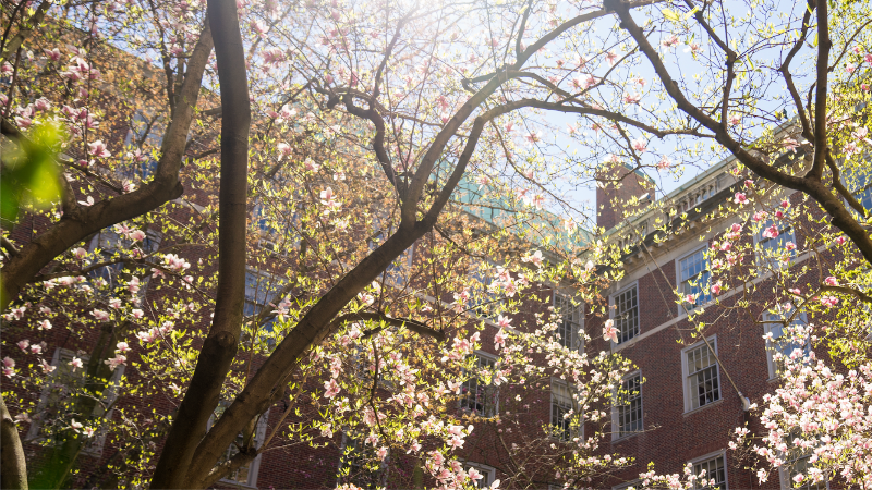 Spring Updates from the Marcy Syms Equality Initiative
