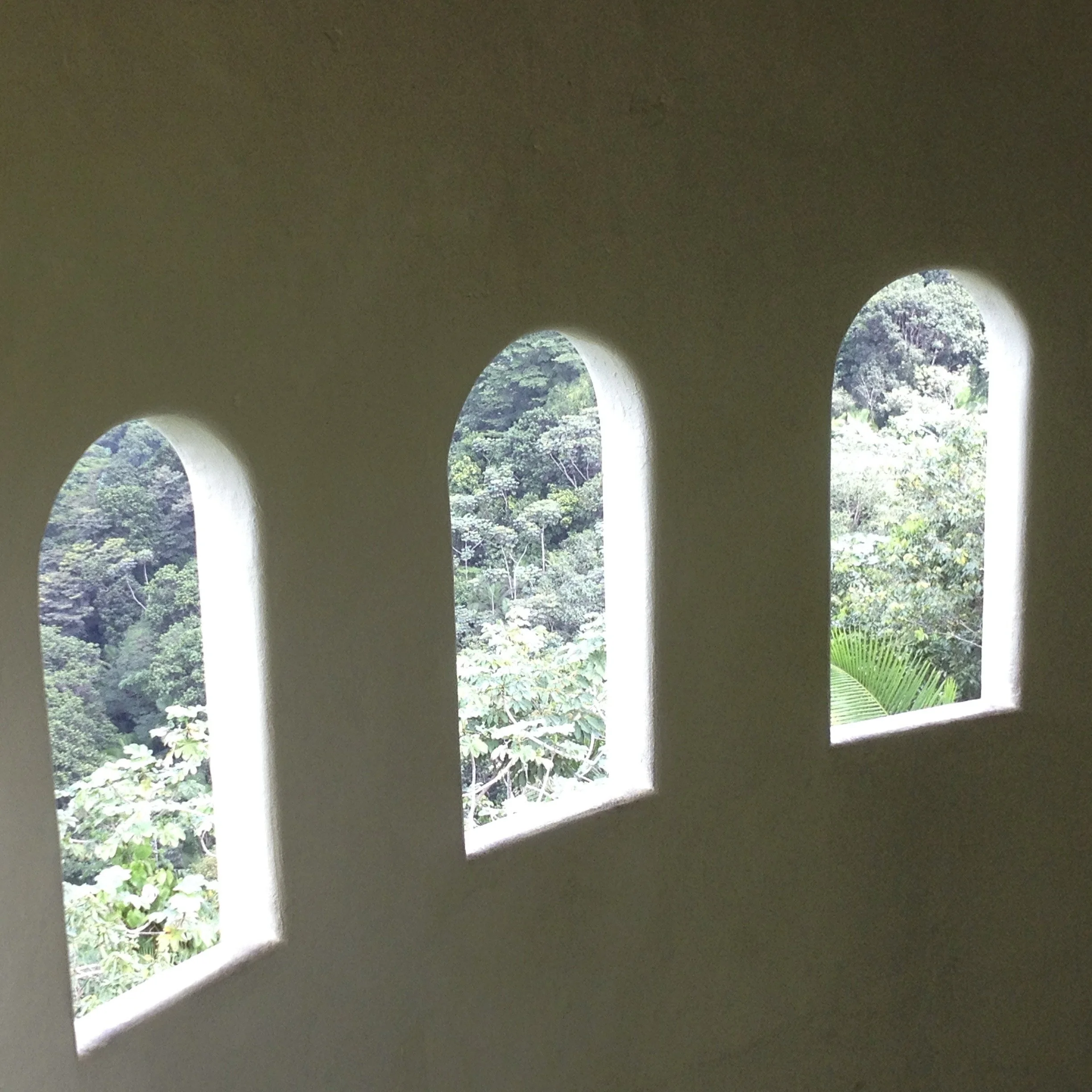 SAAG Exhibition entry fee- Three Items