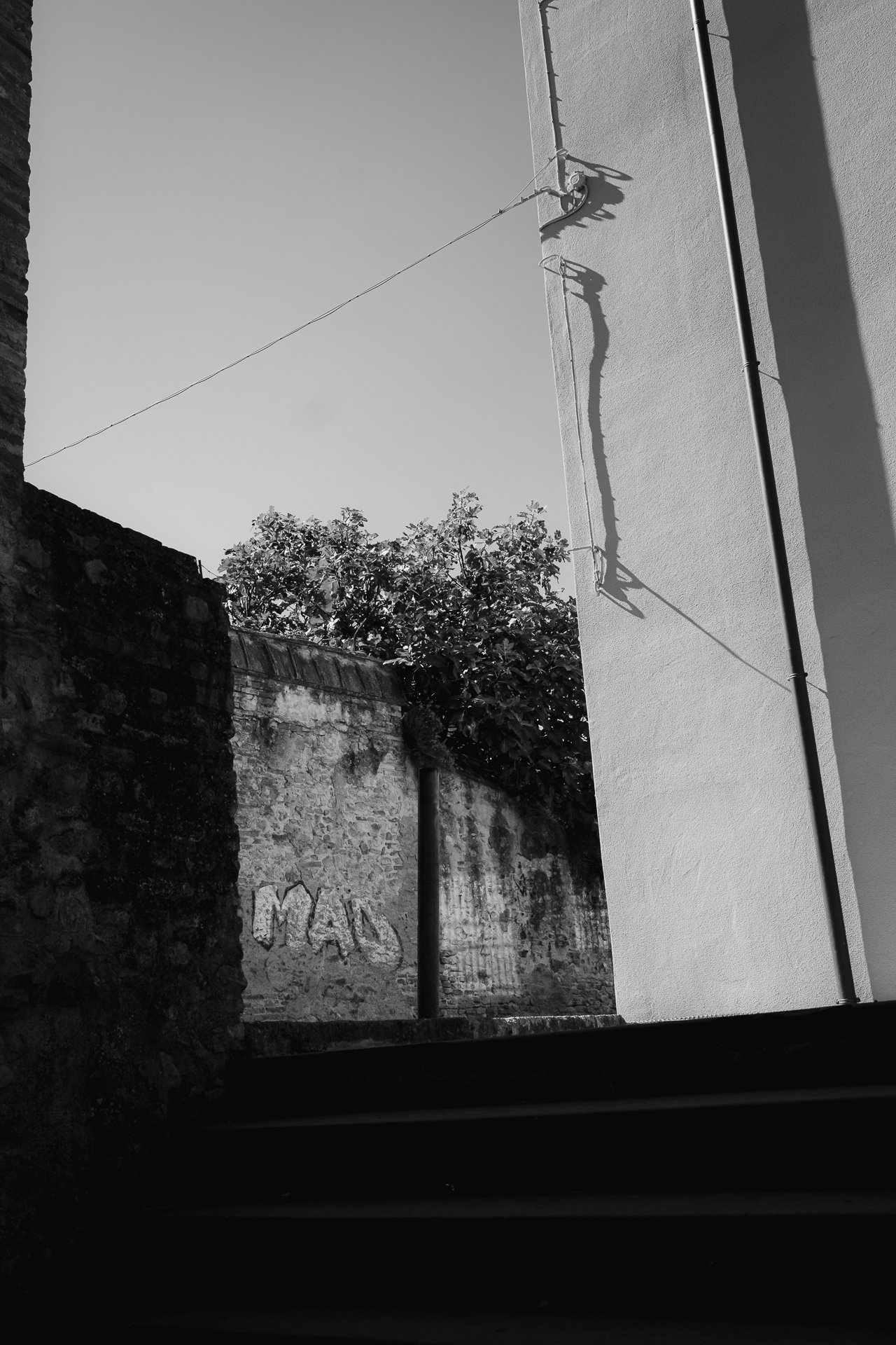 DSCF6303.jpg