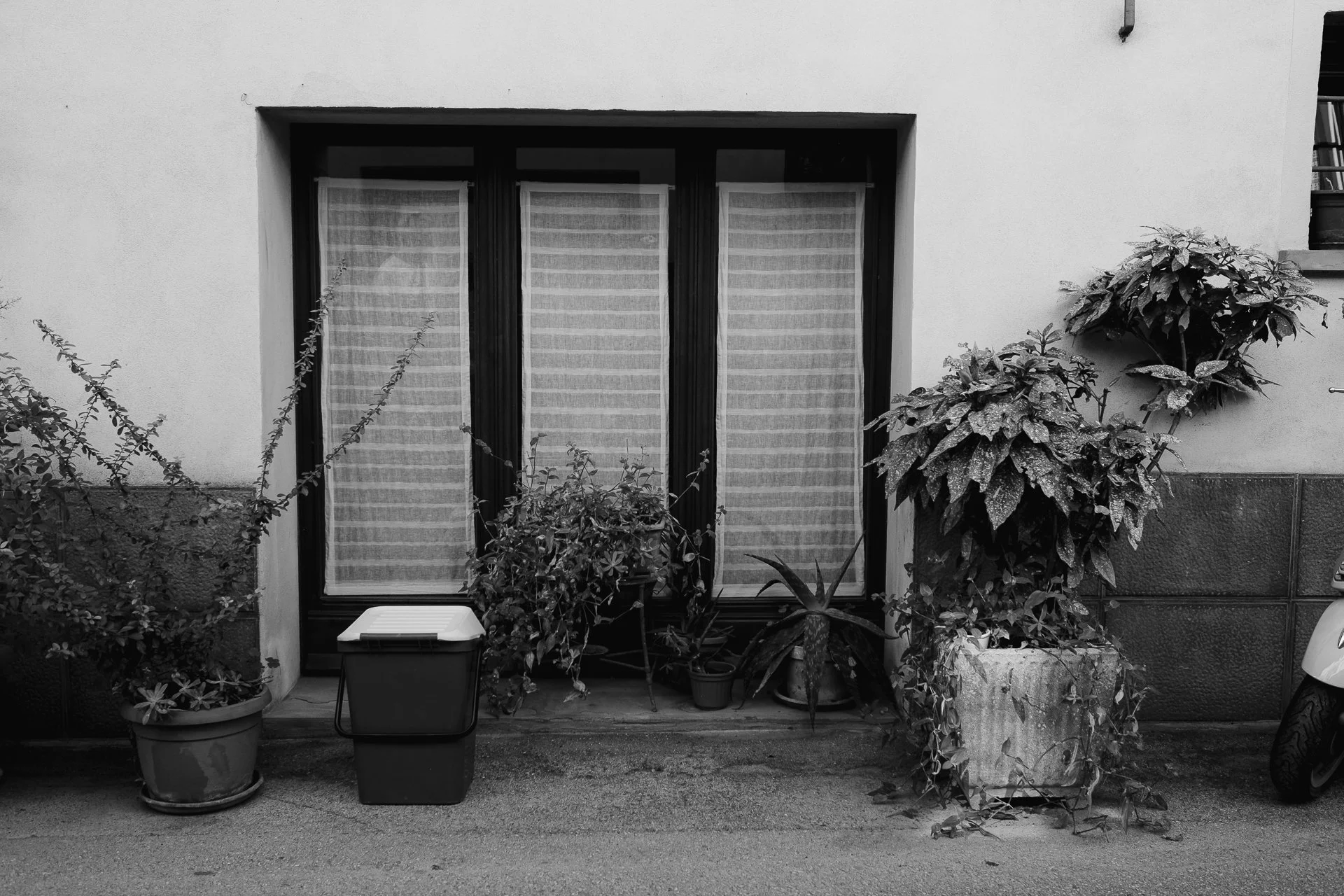 DSCF6305.jpg