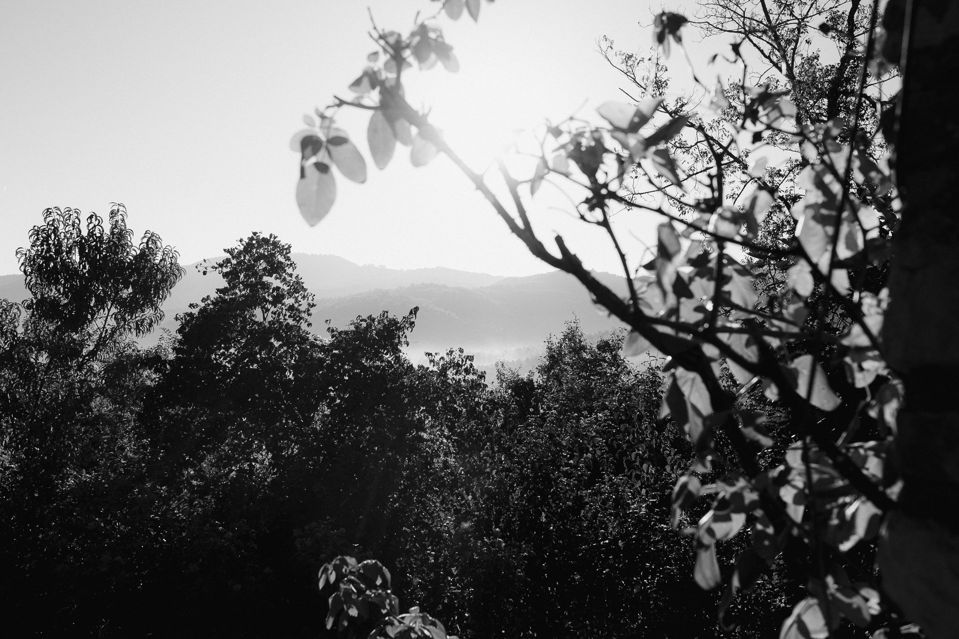 DSCF6281.jpg