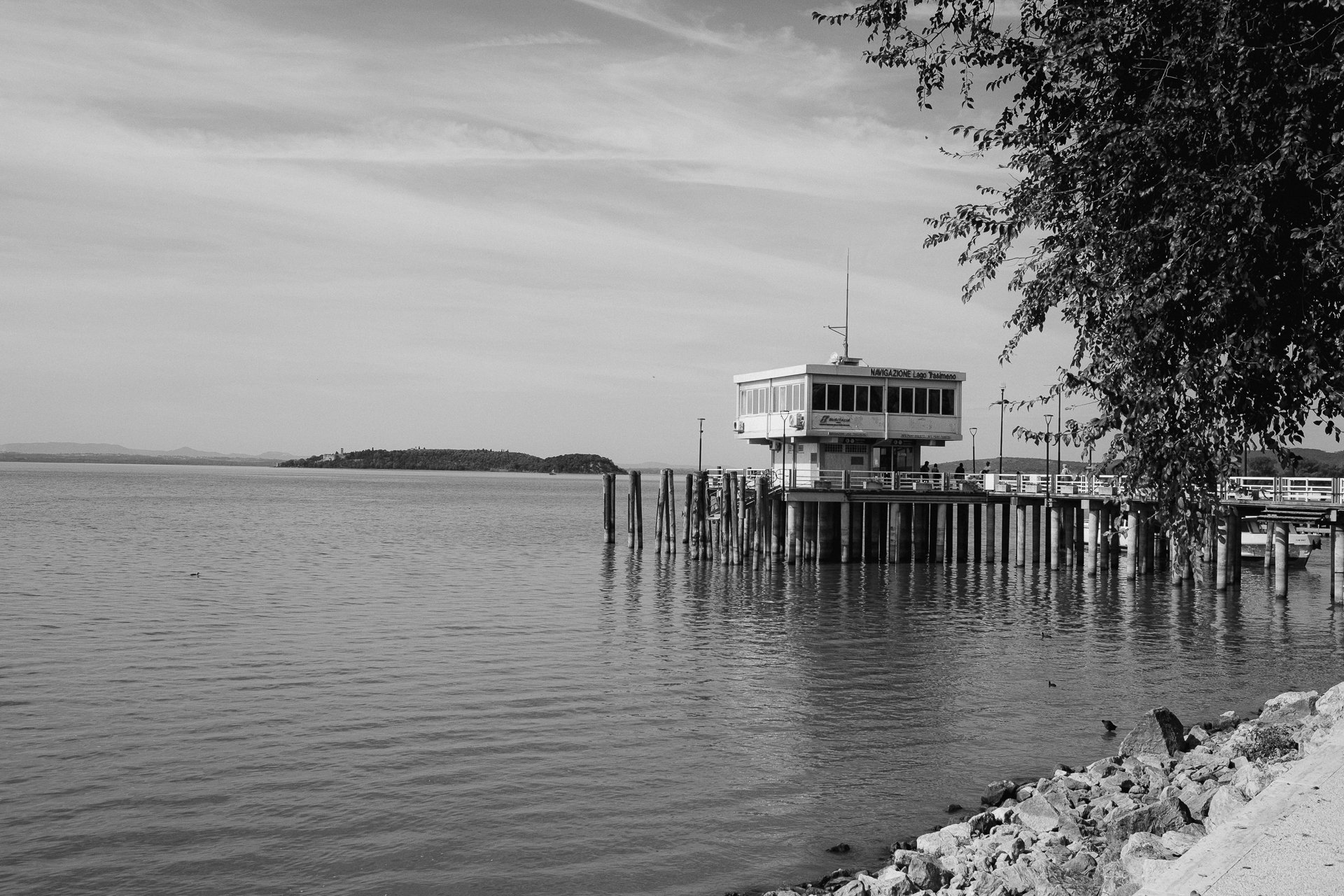 DSCF6343.jpg
