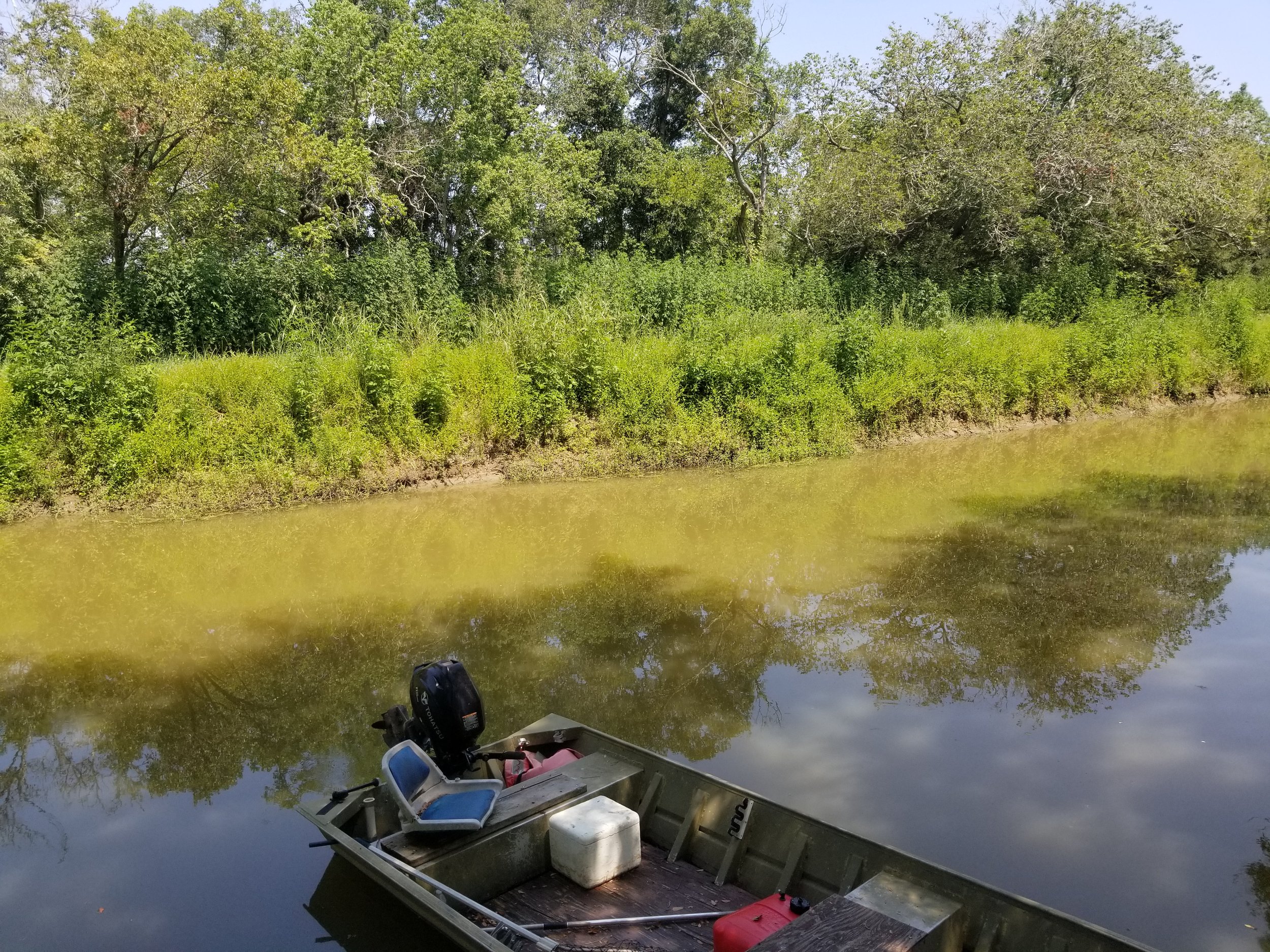 Austin Bayou - 5.jpeg