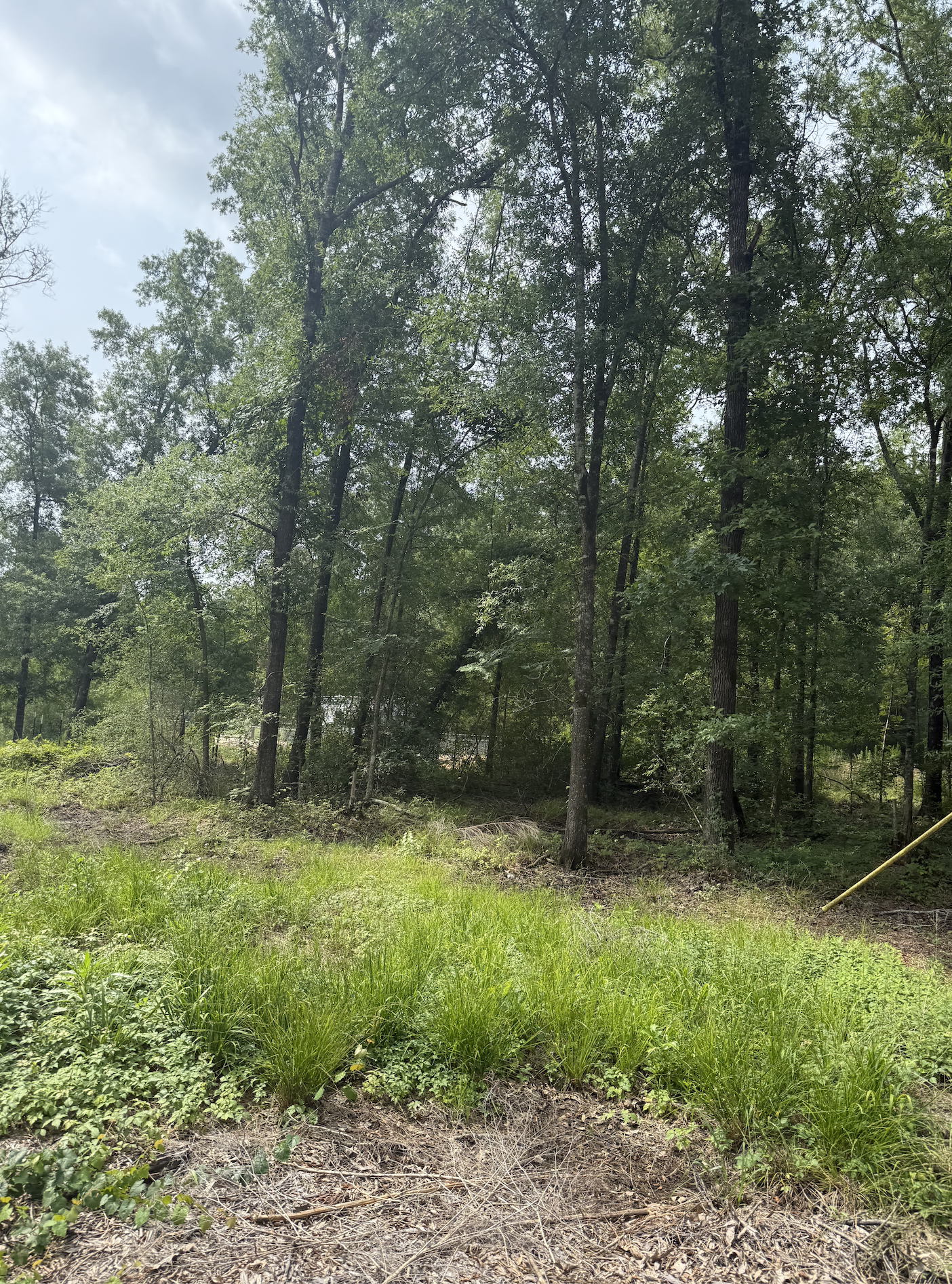 CLEARED LOT NEAR LAKE LIVINGSTON