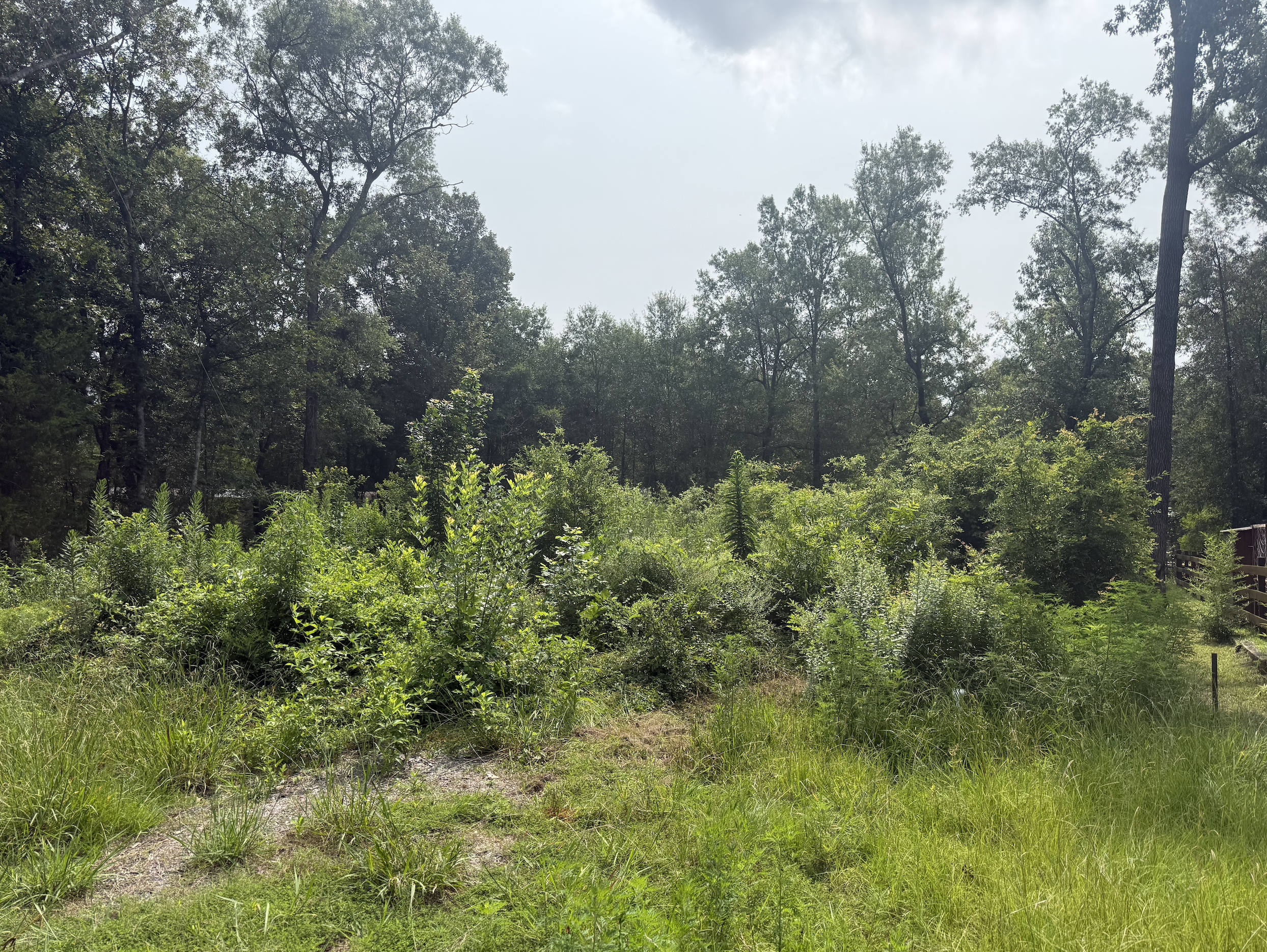 DOUBLE LOT NEAR LAKE LIVINGSTON
