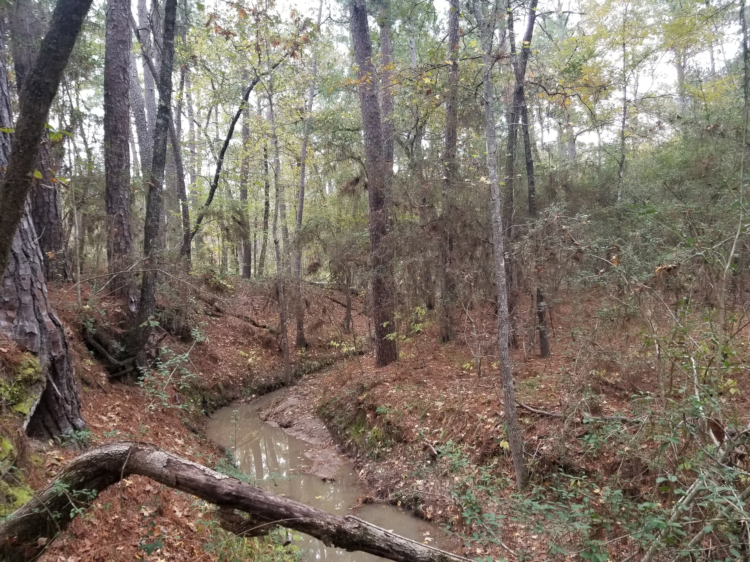 20231121_145306.jpg