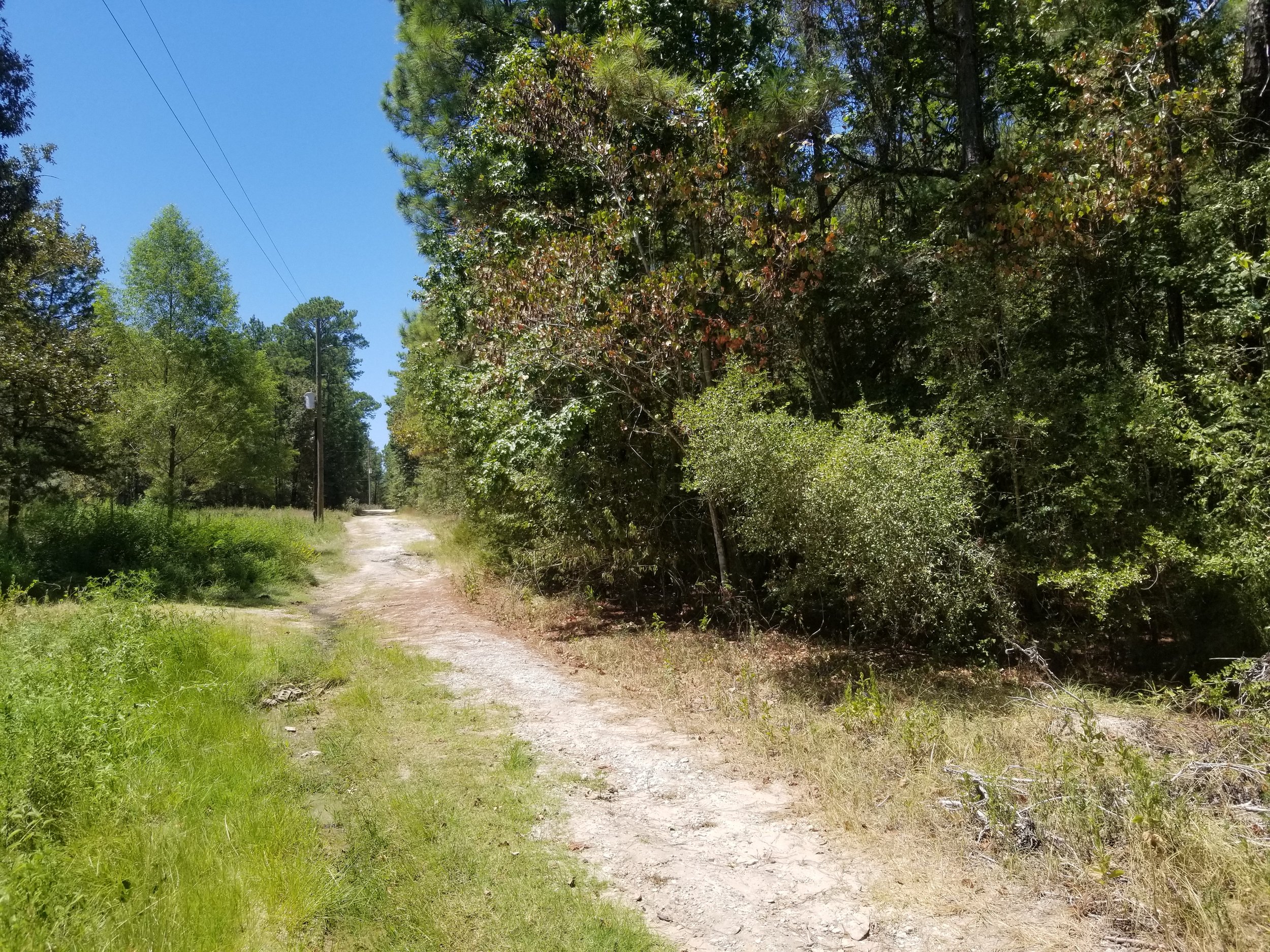 1.5 Acres -Lake L 4.jpeg