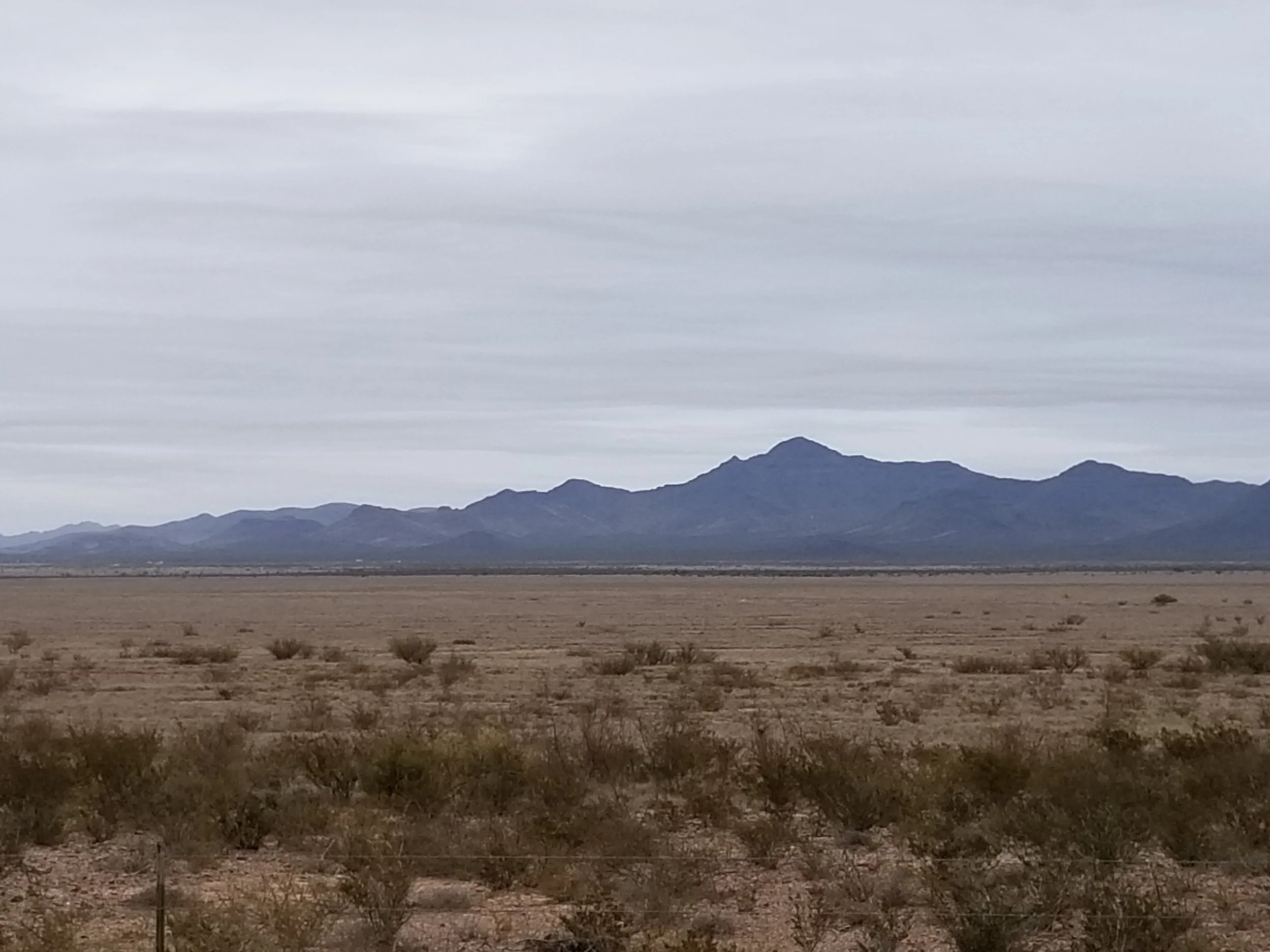 20191108_143624.jpg