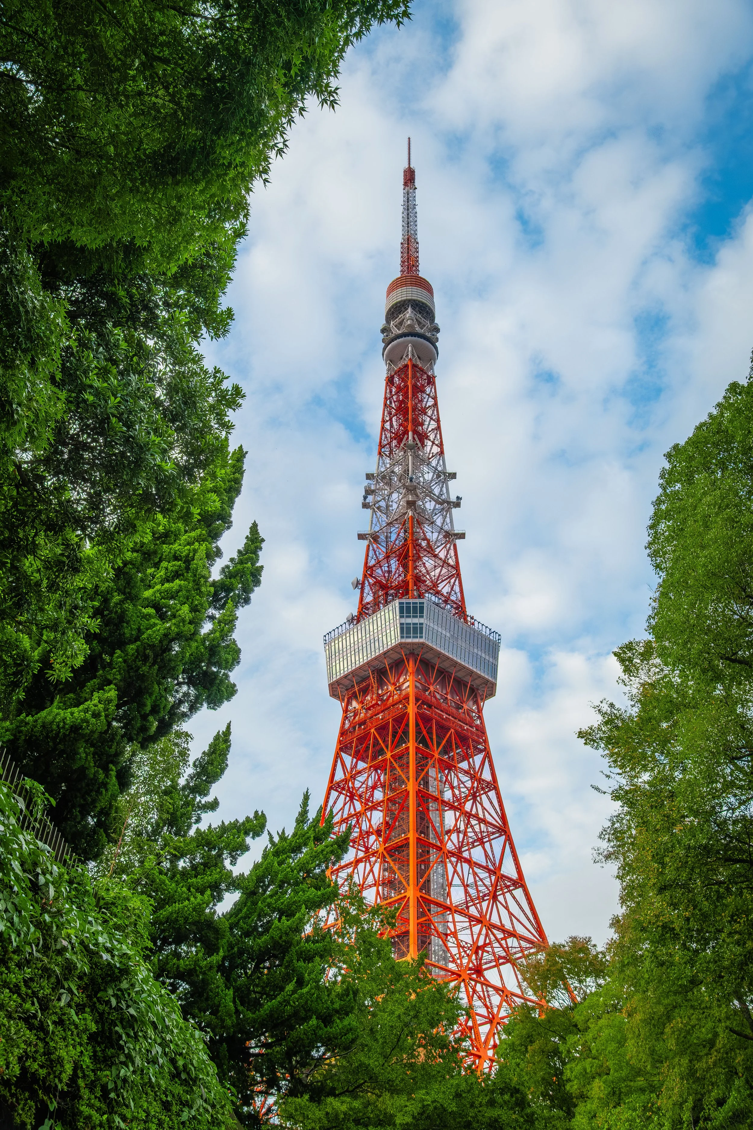 Tokyo Tower framed by the trees of Shiba Park