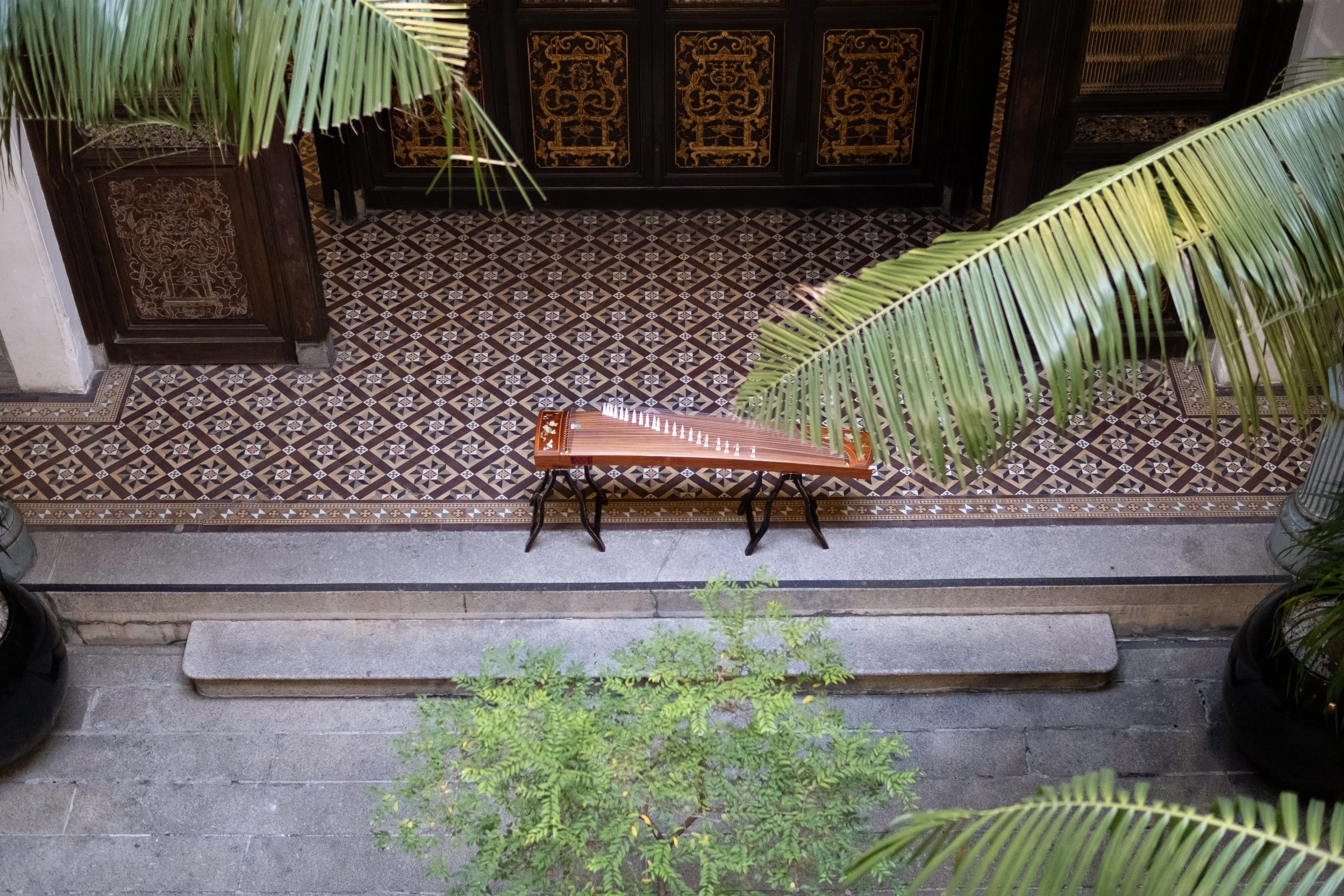 DSCF5559.jpg