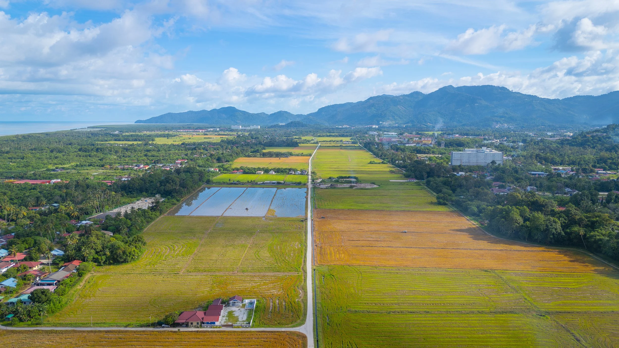 DJI_20250924101913_0012_D.jpg