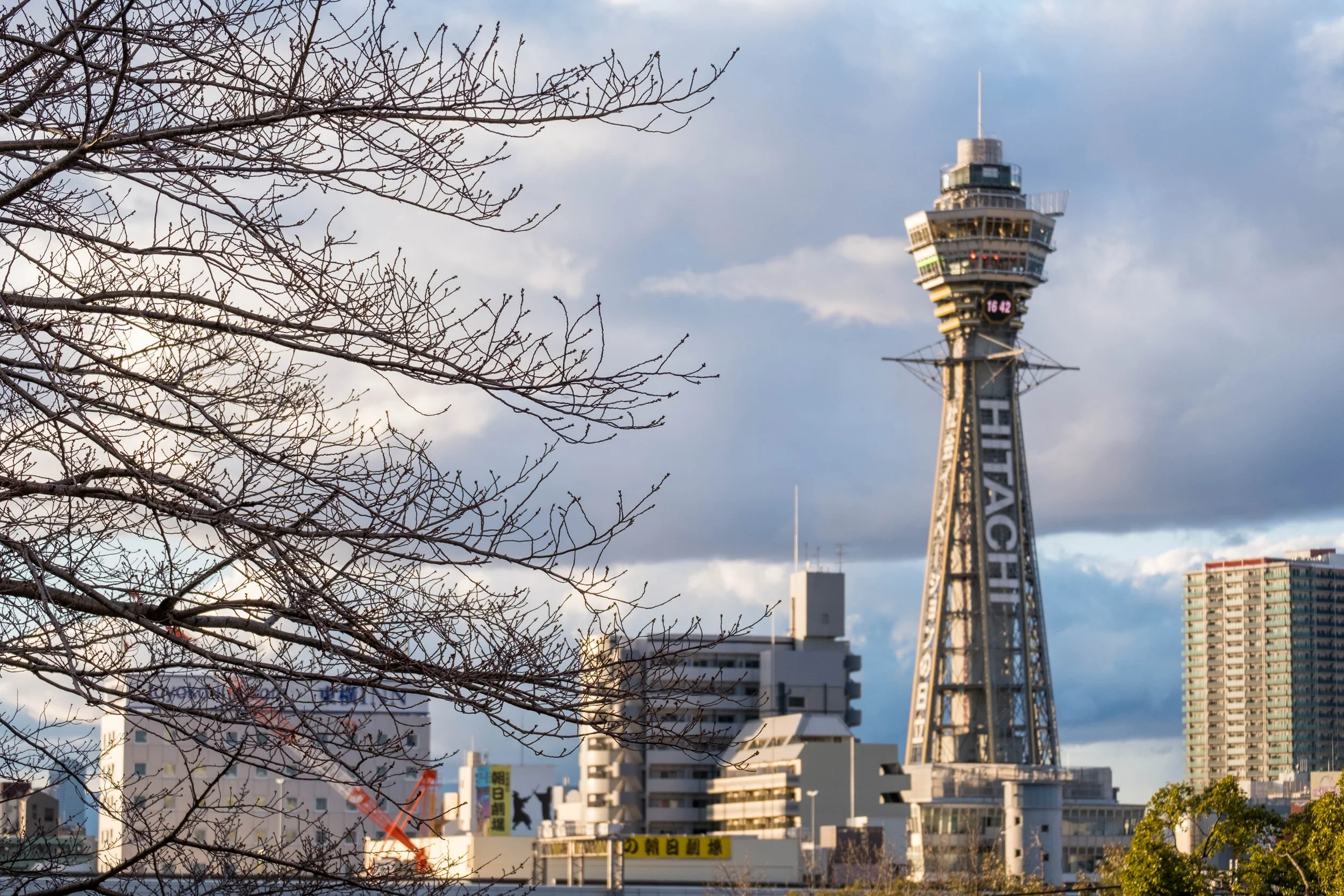 A tree with no leaves in Tennoji Park, facing Tsutenkaku