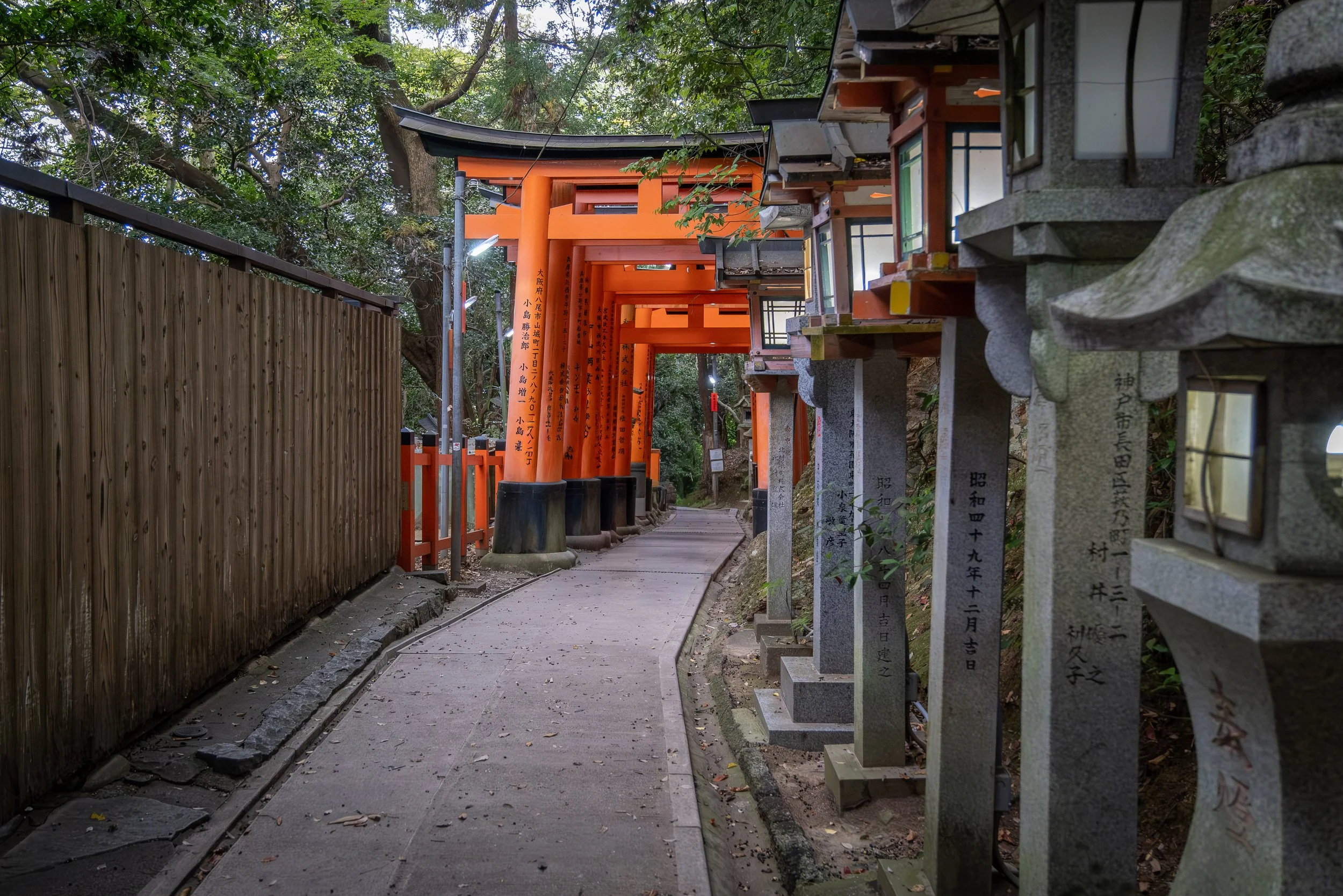 DSCF2839.jpg
