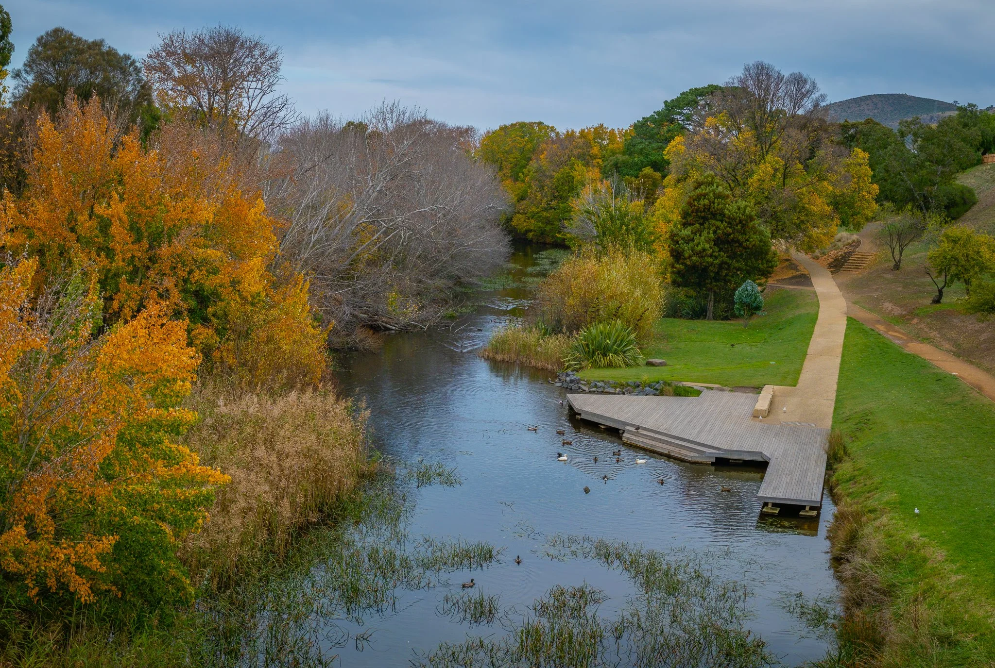 Autumn colours line the Coal River, Richmond. As seen from atop of the Richmond bridge