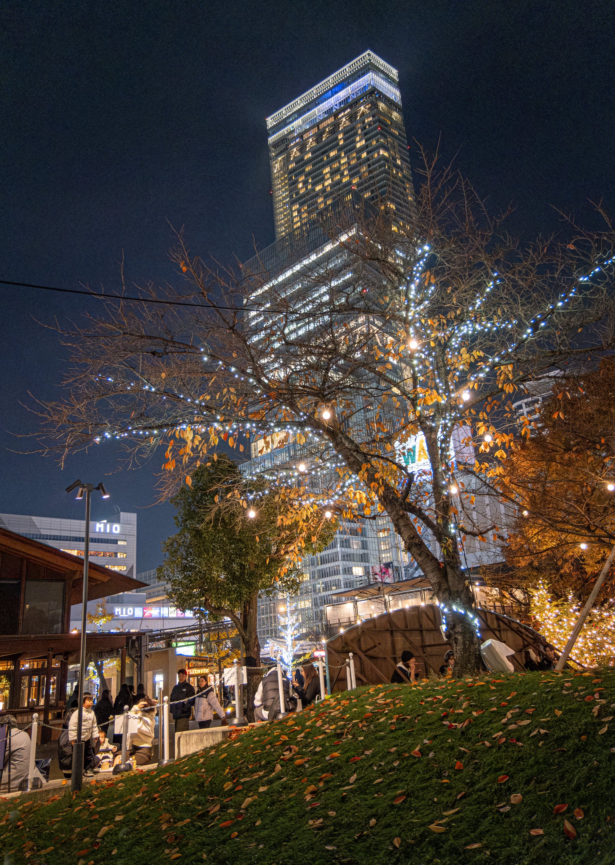 Abeno Harukas from Tenshiba Park