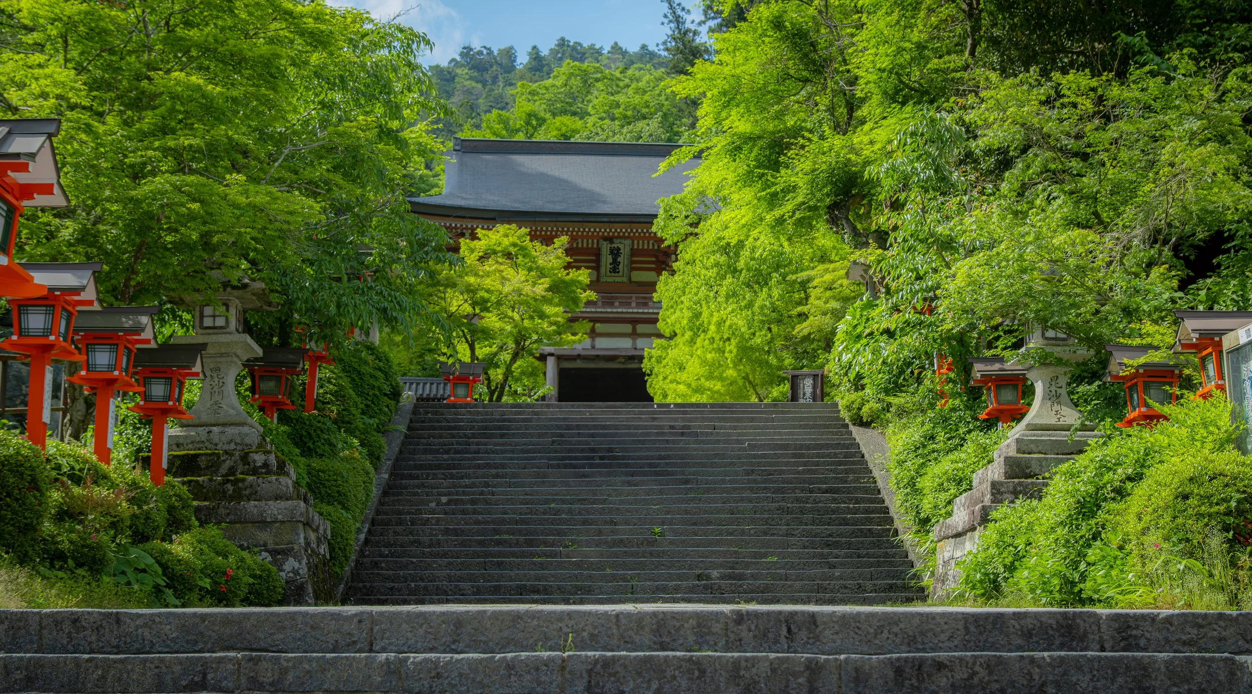 DSCF3795.jpg