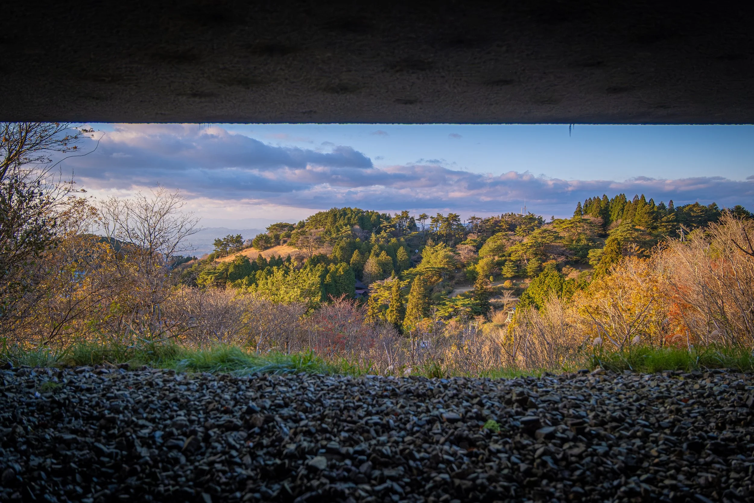 DSCF5386.jpg