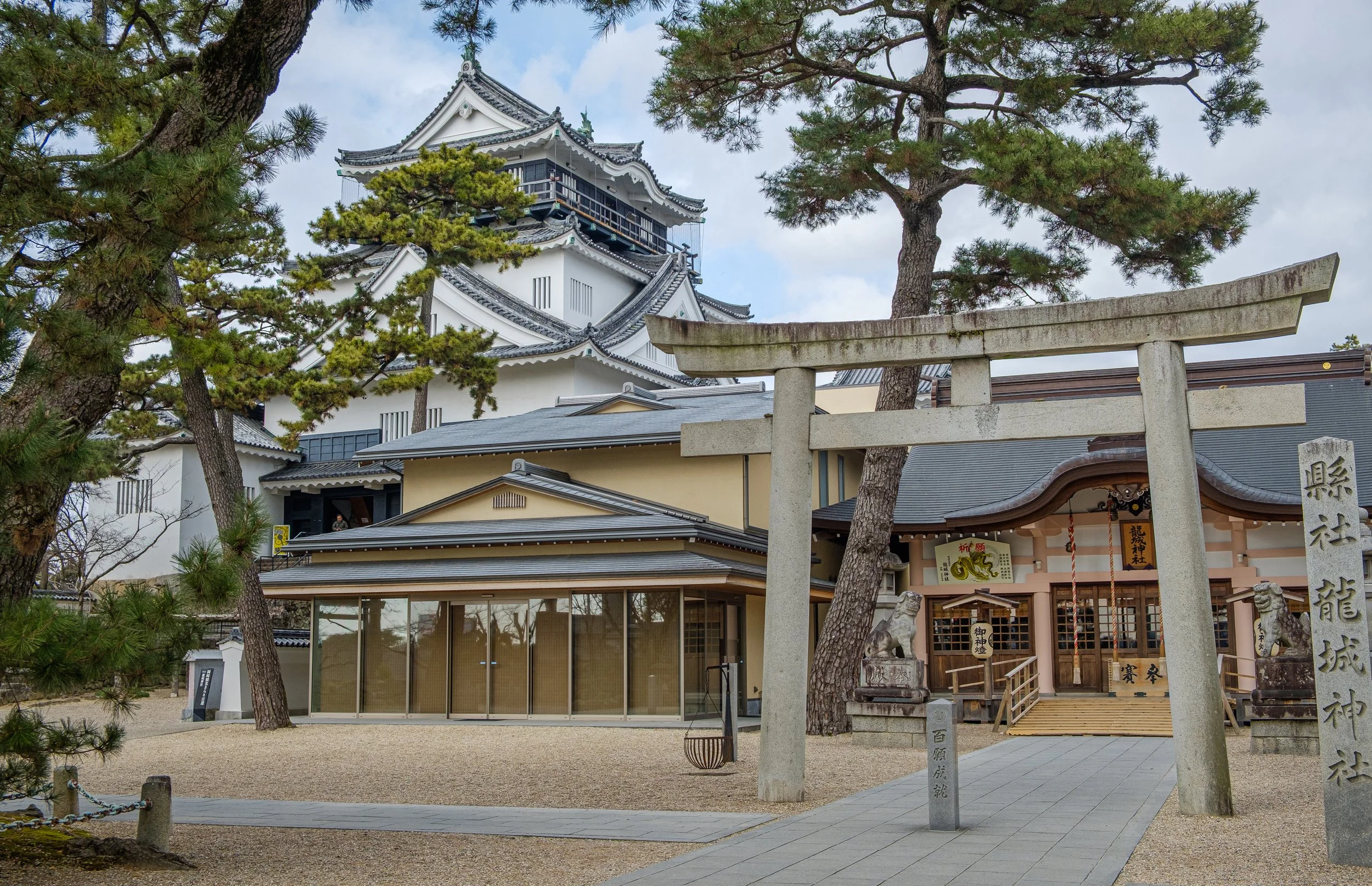 TONY5350.jpg