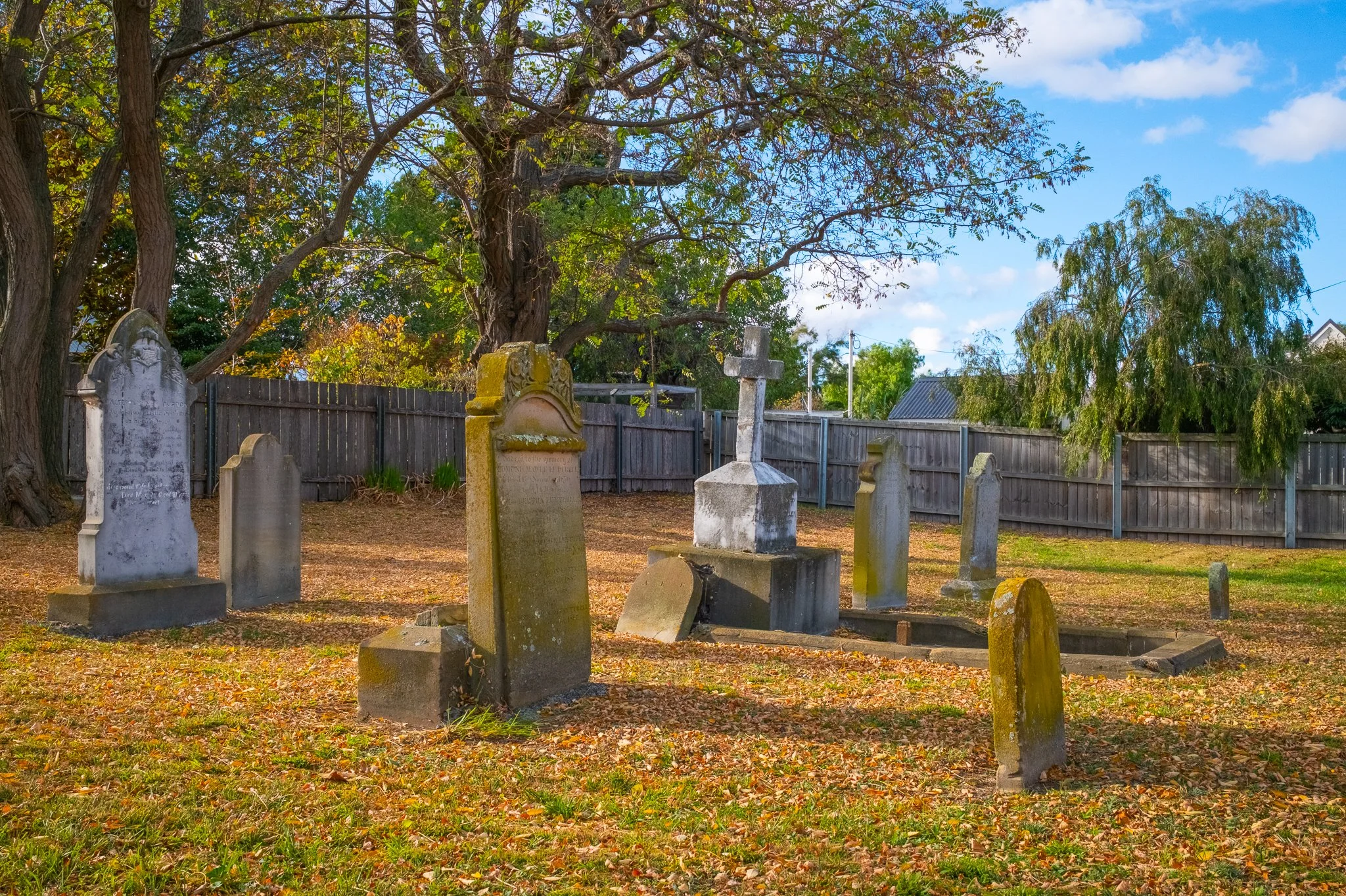 DSCF0790-3.jpg