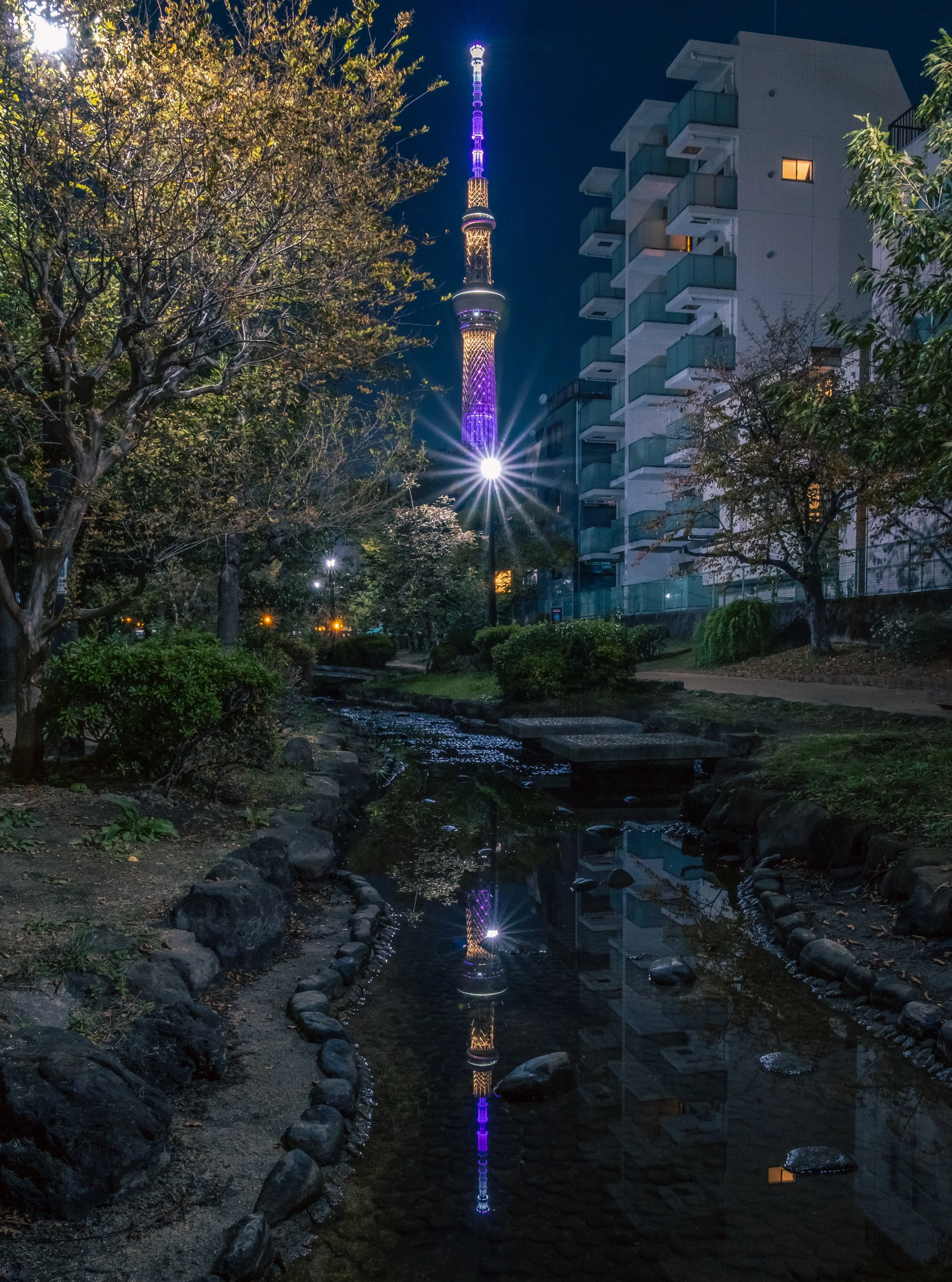 Reflections of the Tokyo Skytree, taken at one of the many long parks that pass through Sumida City