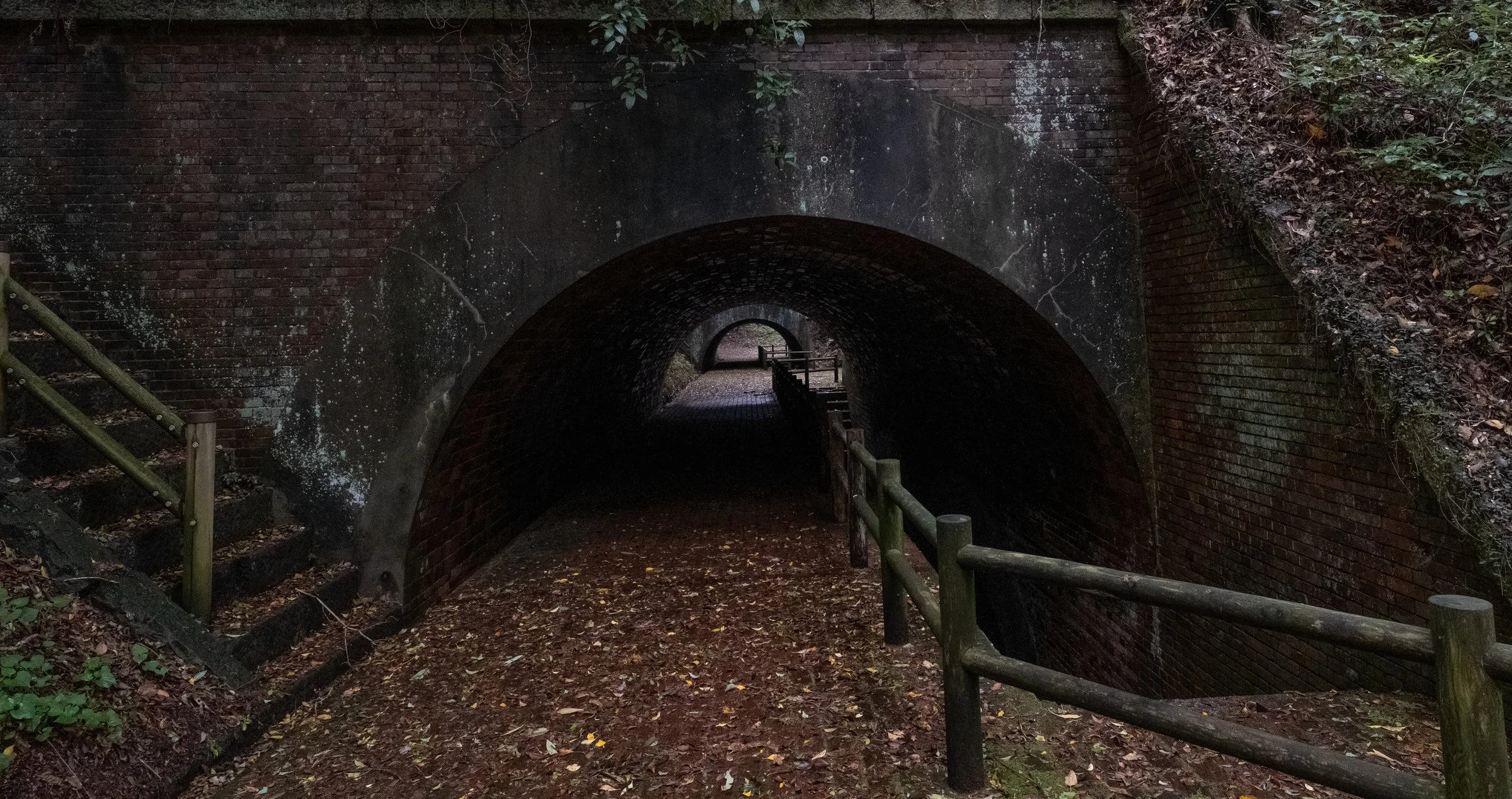DSCF3240.jpg