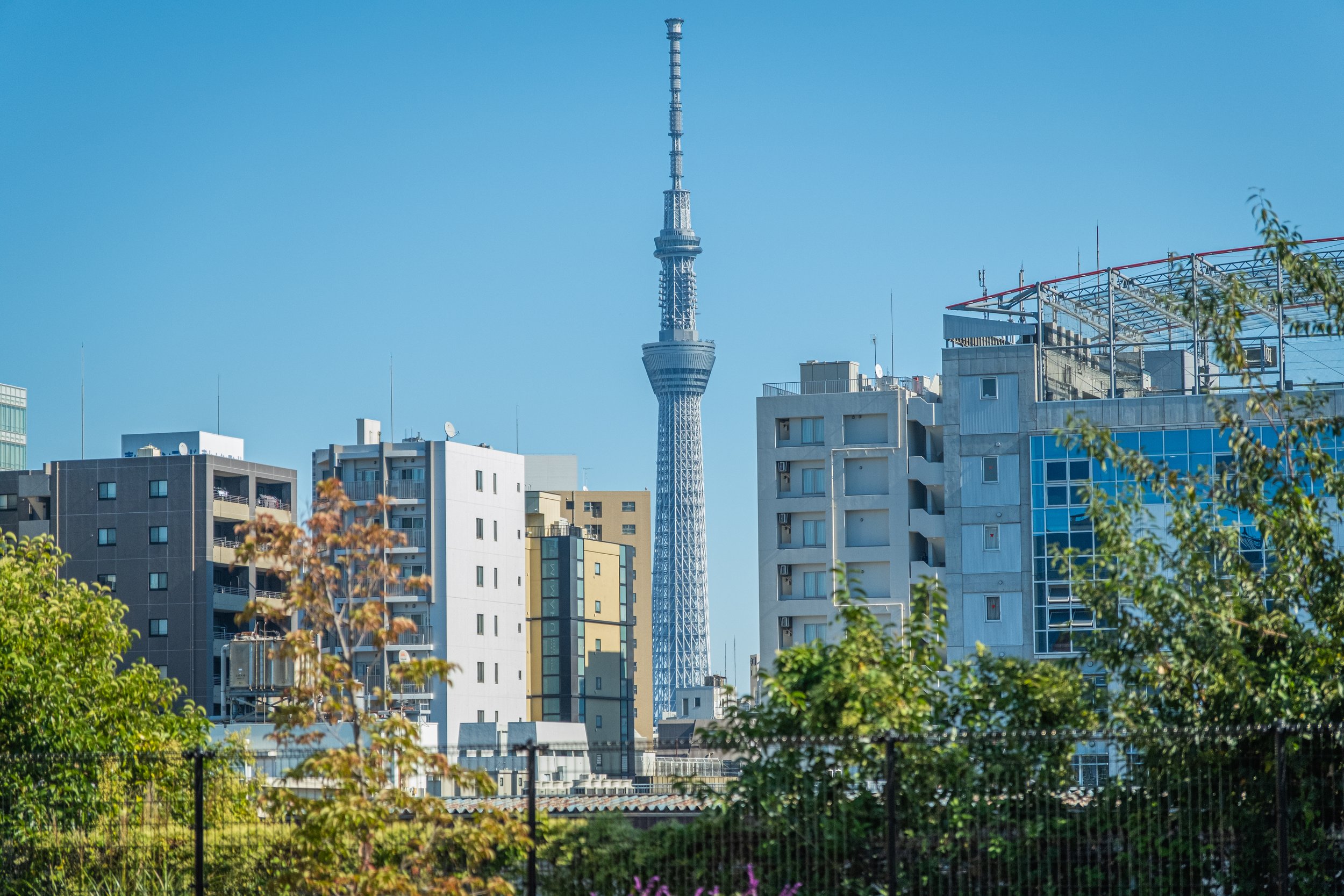 The Skytree as seen from Yanaka Cemetery