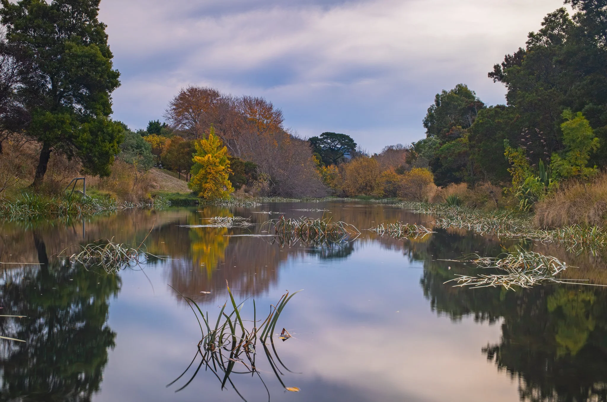 The Coal River, Richmond 