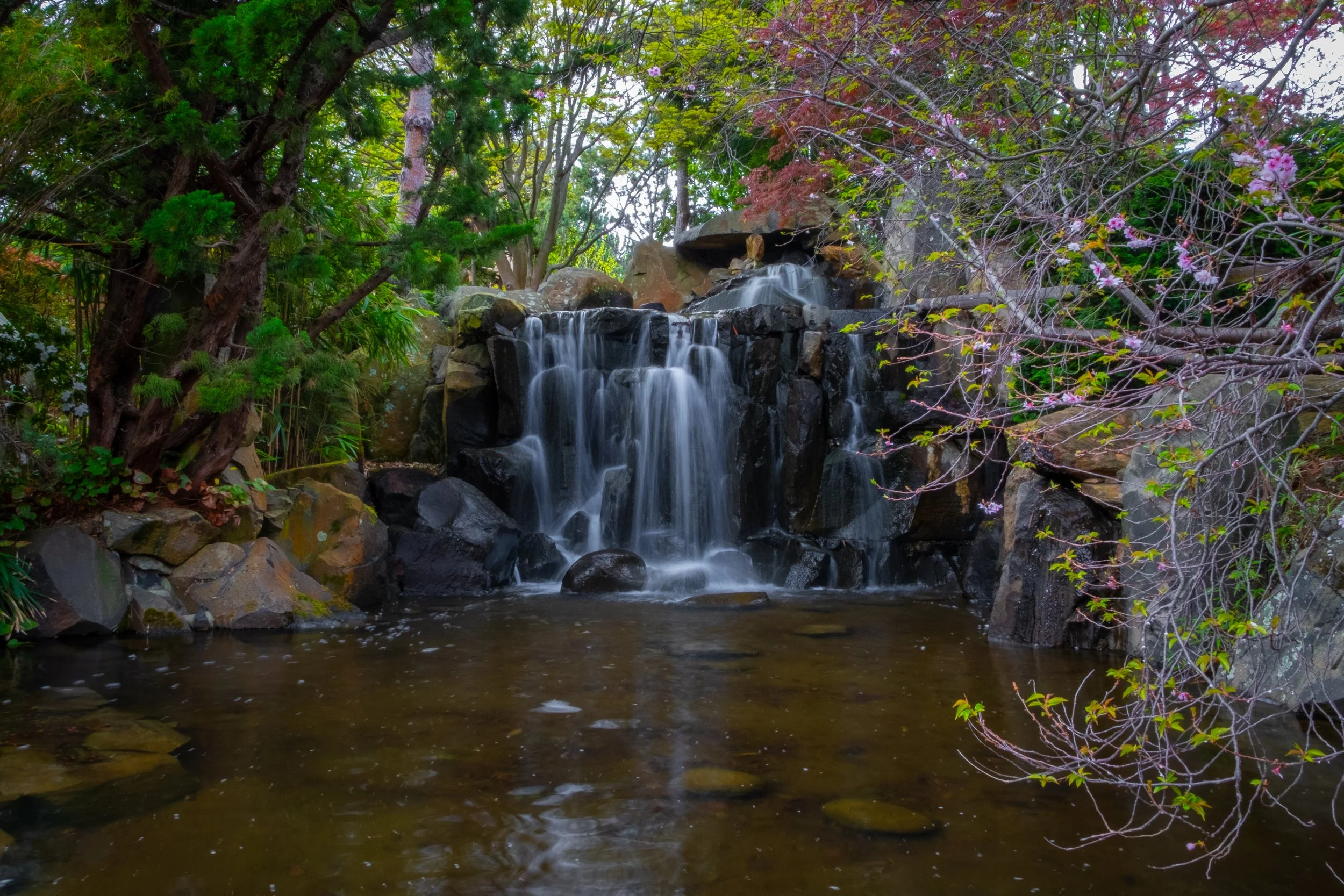 A small waterfall at the Royal Tasmanian Botanical Gardens