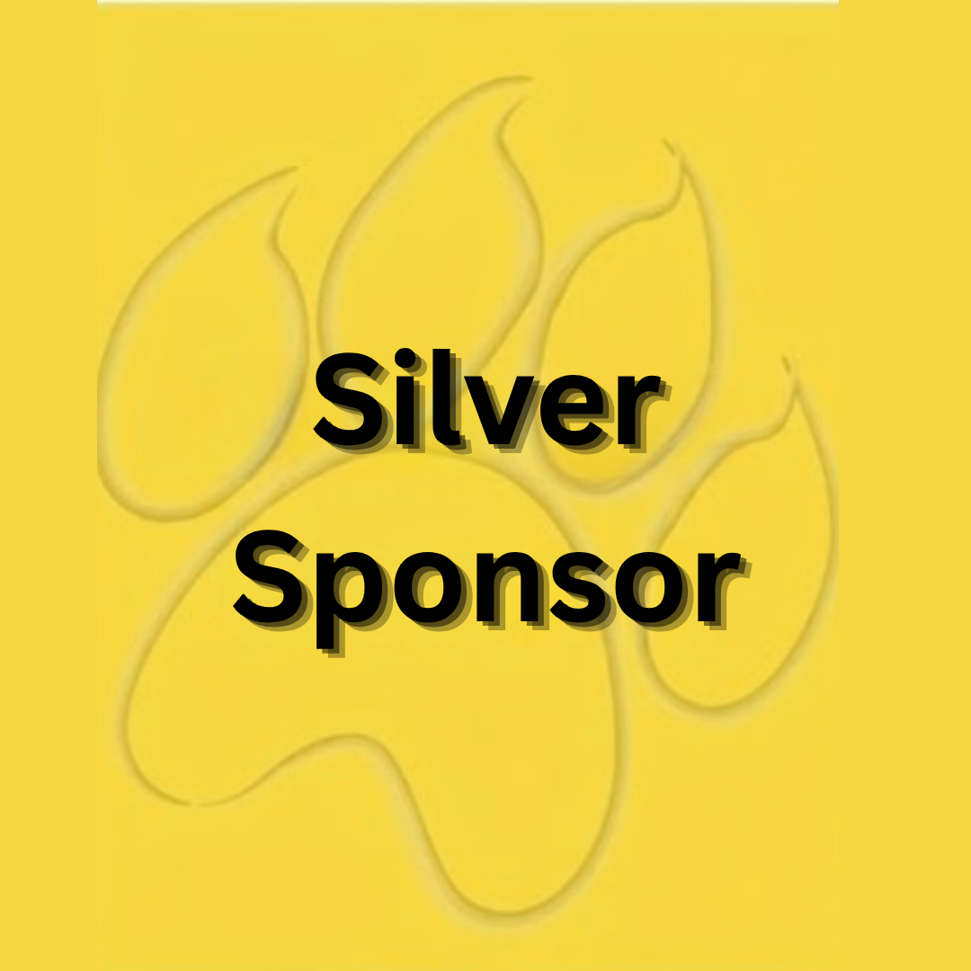 Silver Sponsor