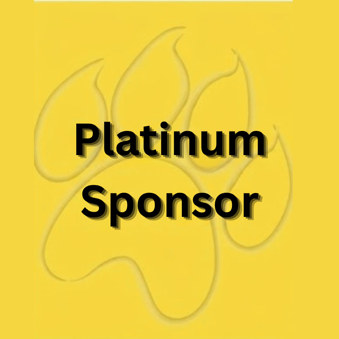 Platinum Sponsor