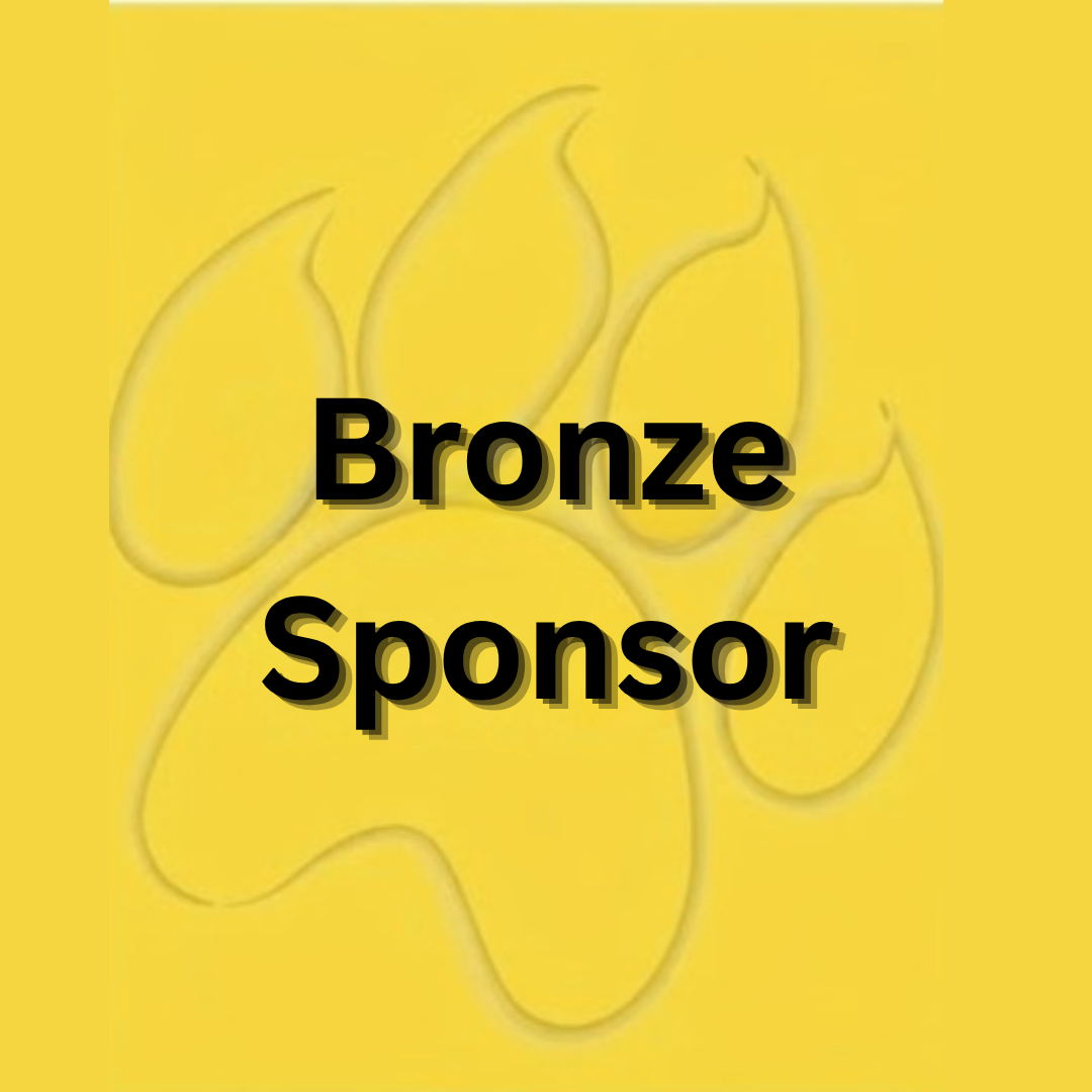 Bronze Sponsor