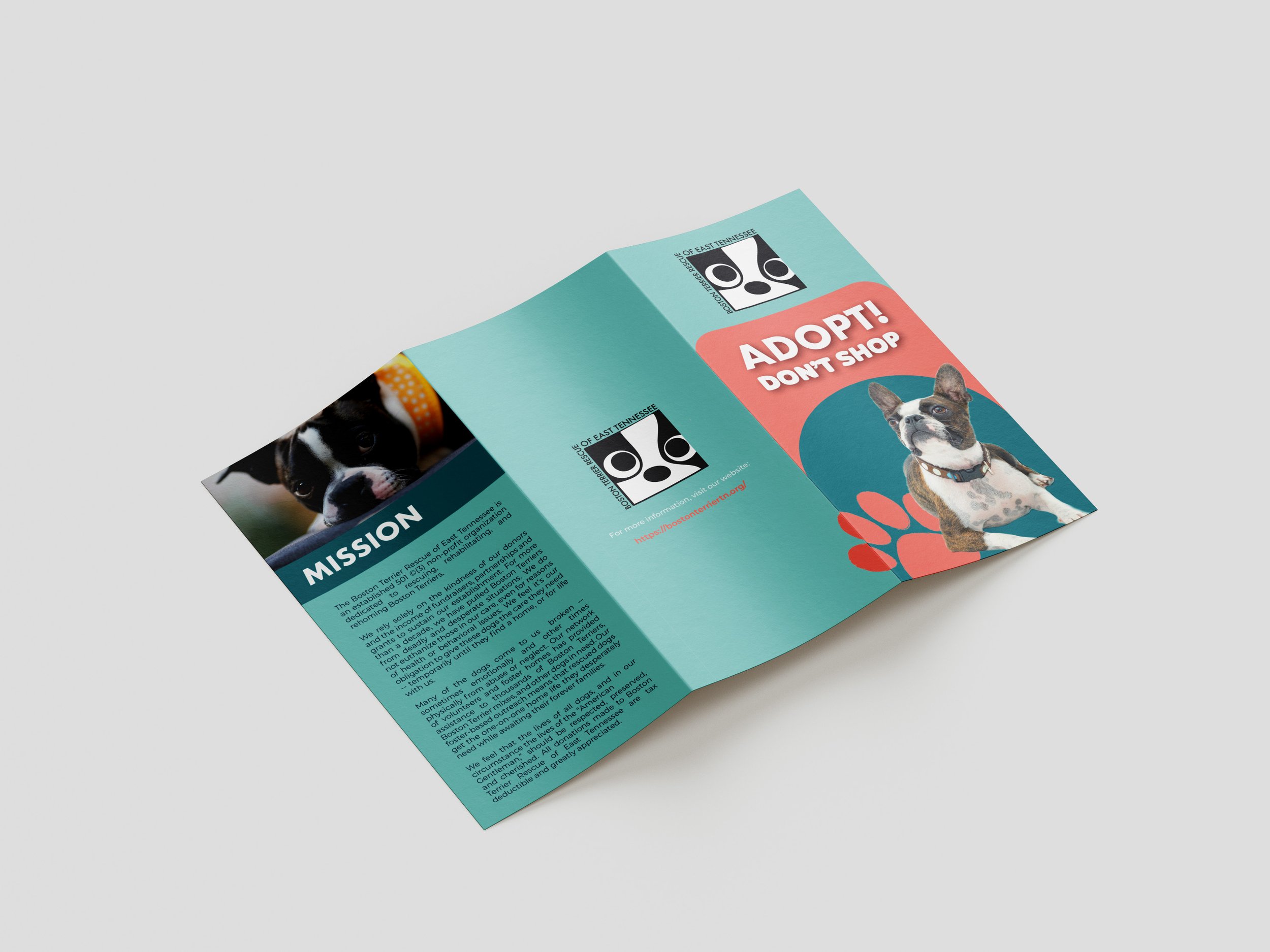 Trifold Mockup Front.jpg