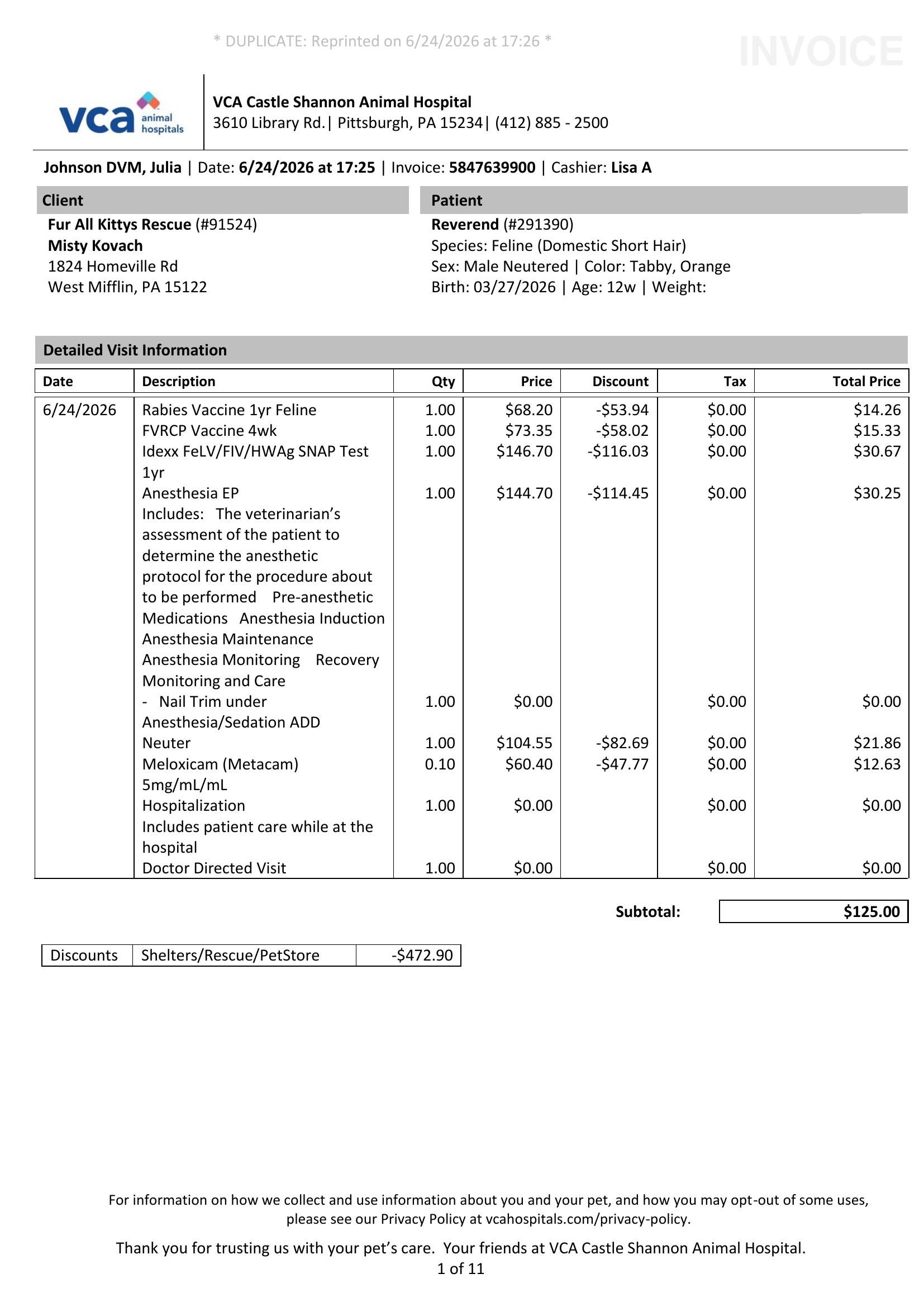 Invoice_Rescue_Fur_All_Kittys_6242026_172633_page_1.jpg