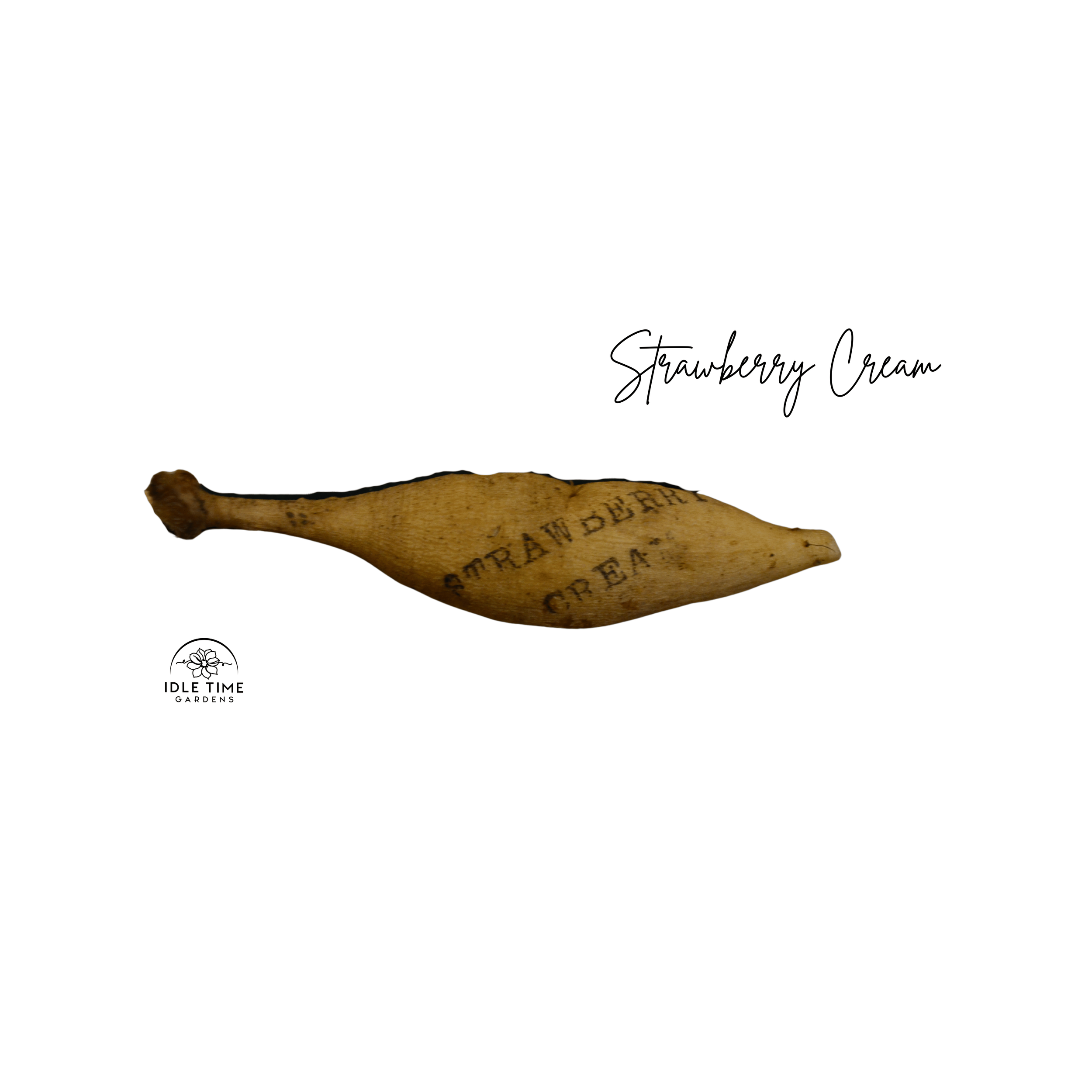 Strawberry Cream Tuber WT.png