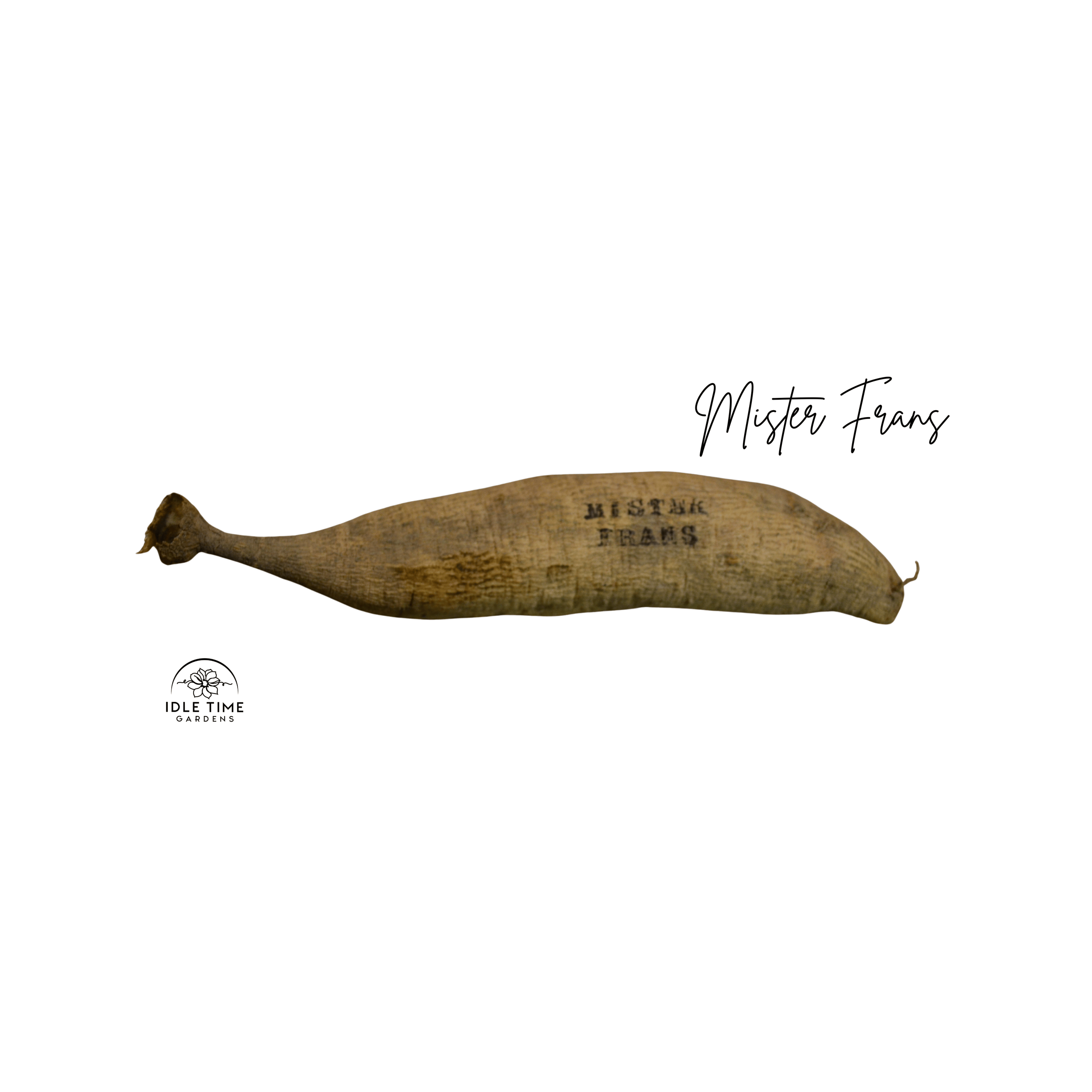 Mister Frans Tuber WT.png