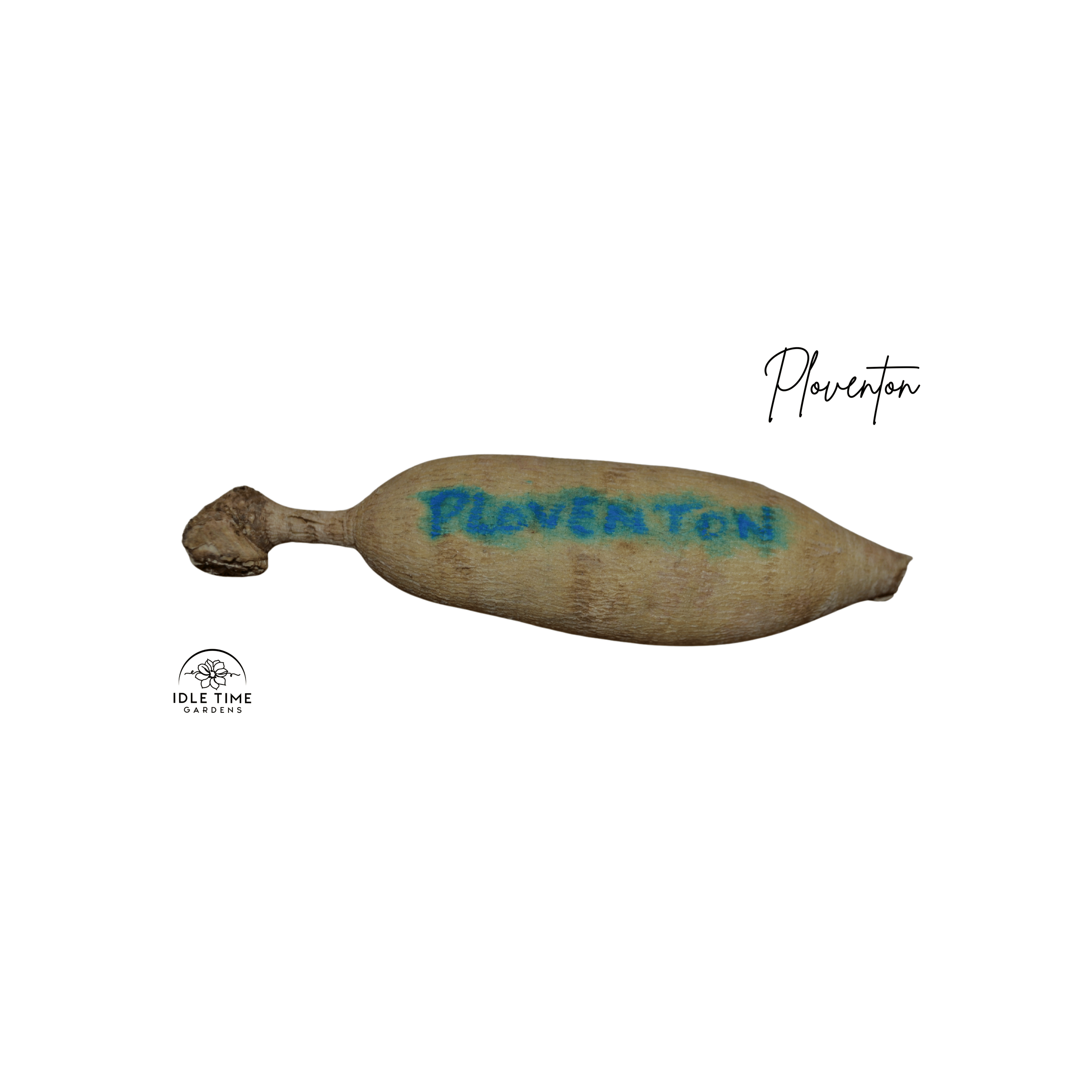 Ploventon Tuver WT.png