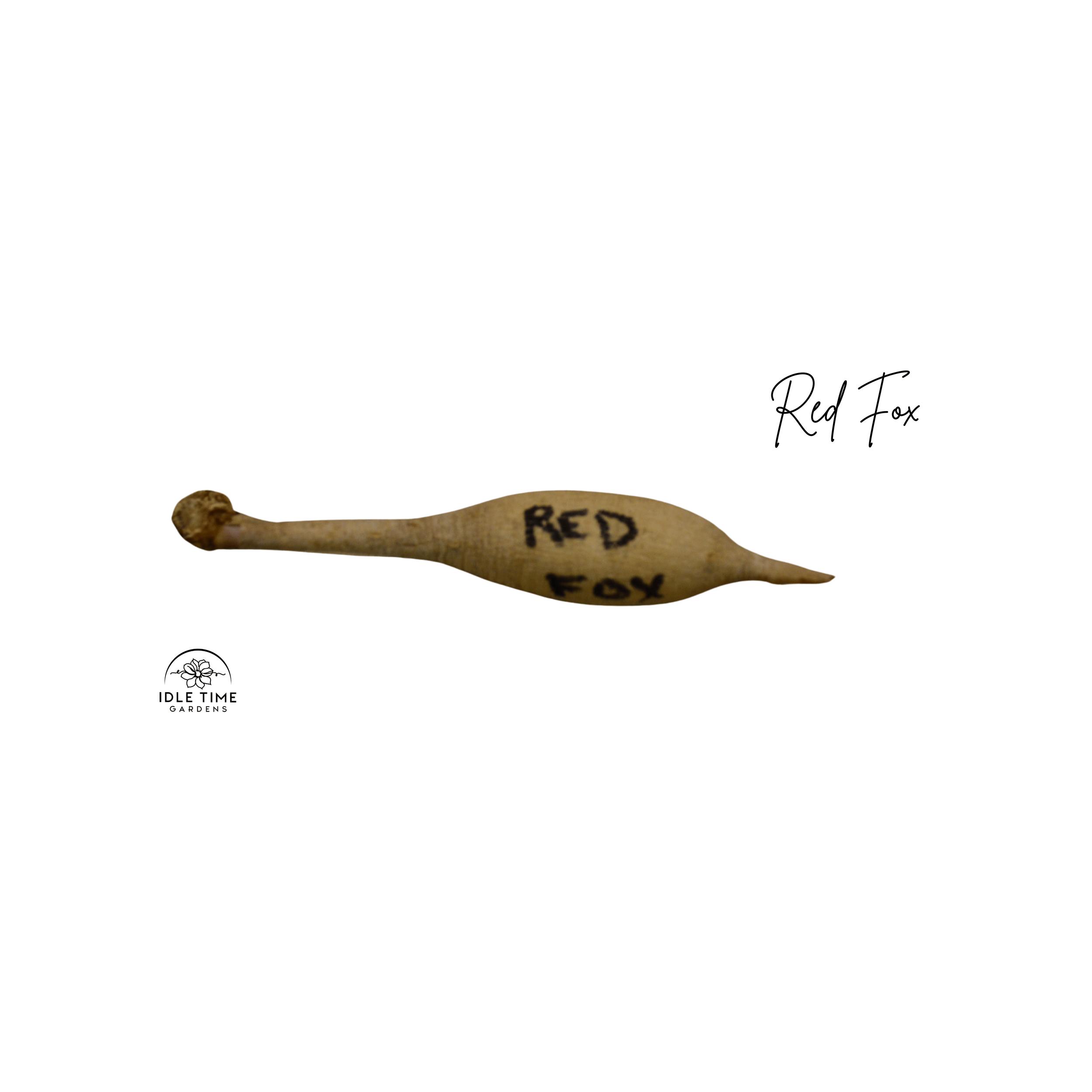 Red Fox Tuber WT.png