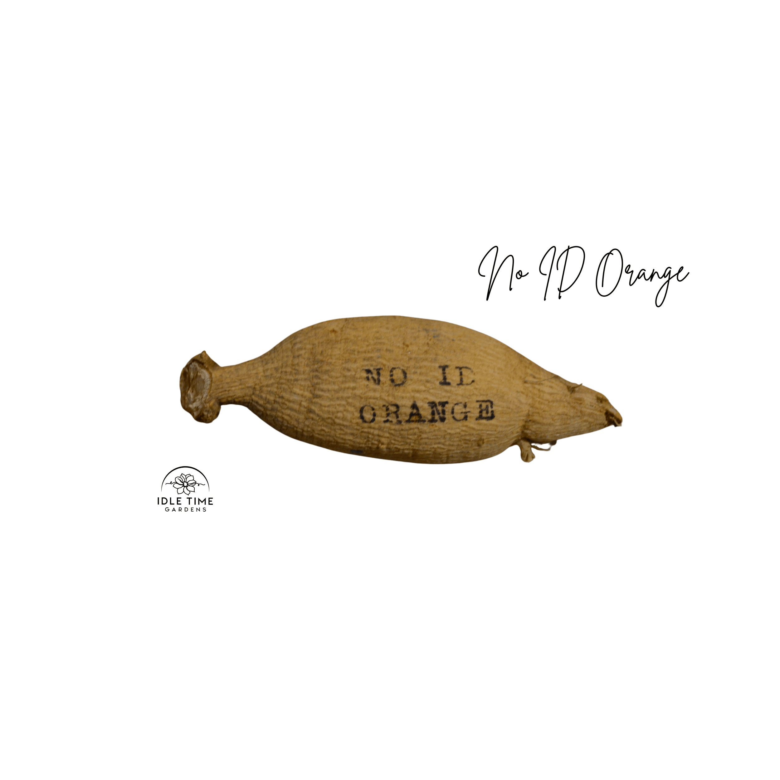 No ID Orange Tuber WT.png