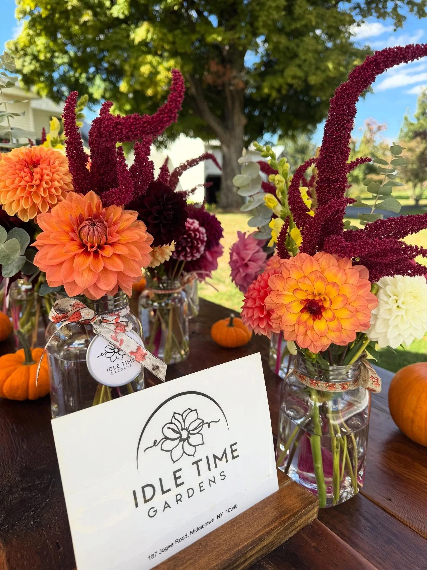LAST WEEKEND FOR BOUQUETS!

The frost has arrived, but we managed one final harvest yesterday! Come grab your last Idle Time Gardens bouquet of 2025 before they&rsquo;re gone for the season. ❄️💐