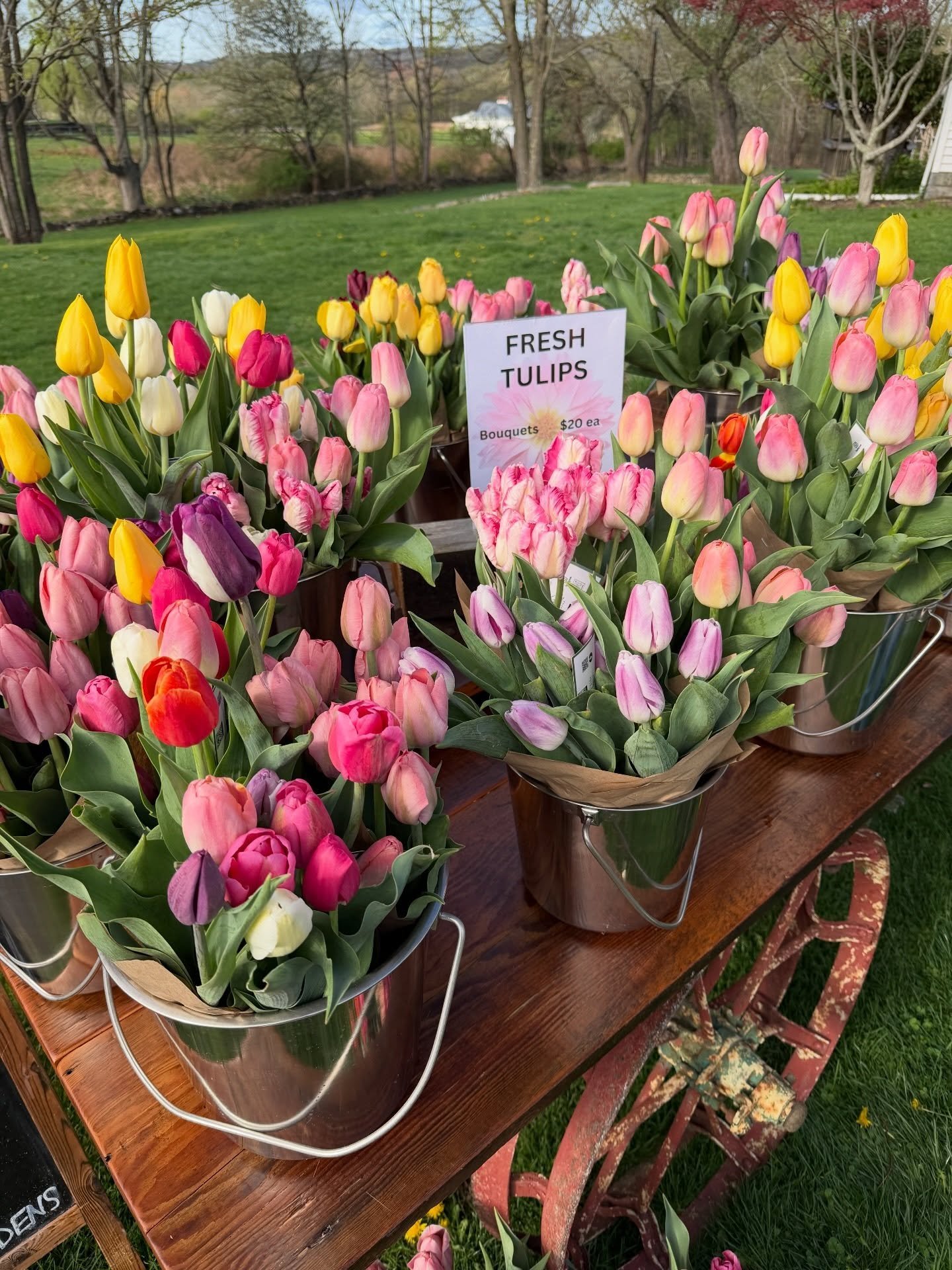 The cart is officially back out!!! Come grab these beauties. 💐🌷💐🌷